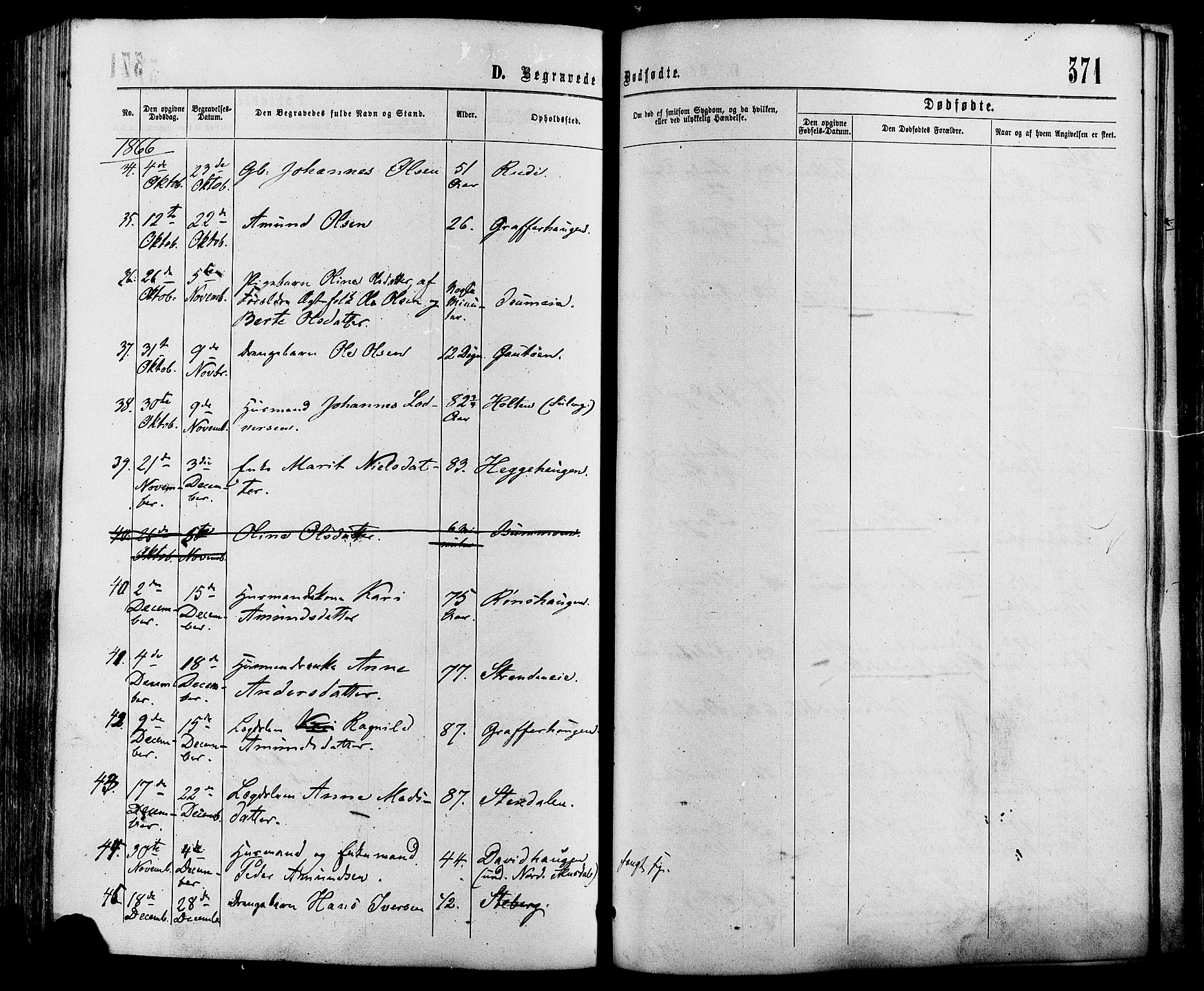 Sør-Fron prestekontor, AV/SAH-PREST-010/H/Ha/Haa/L0002: Parish register (official) no. 2, 1864-1880, p. 371