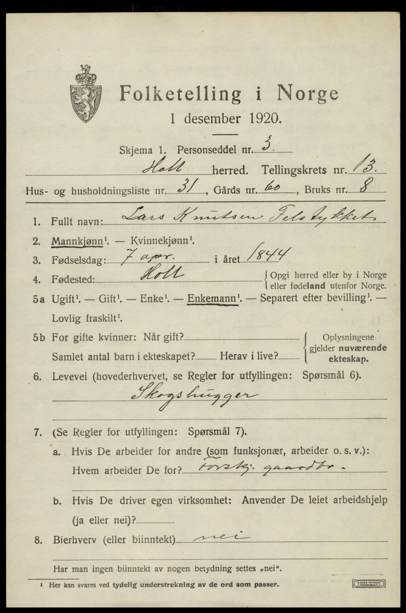 SAK, 1920 census for Holt, 1920, p. 7958