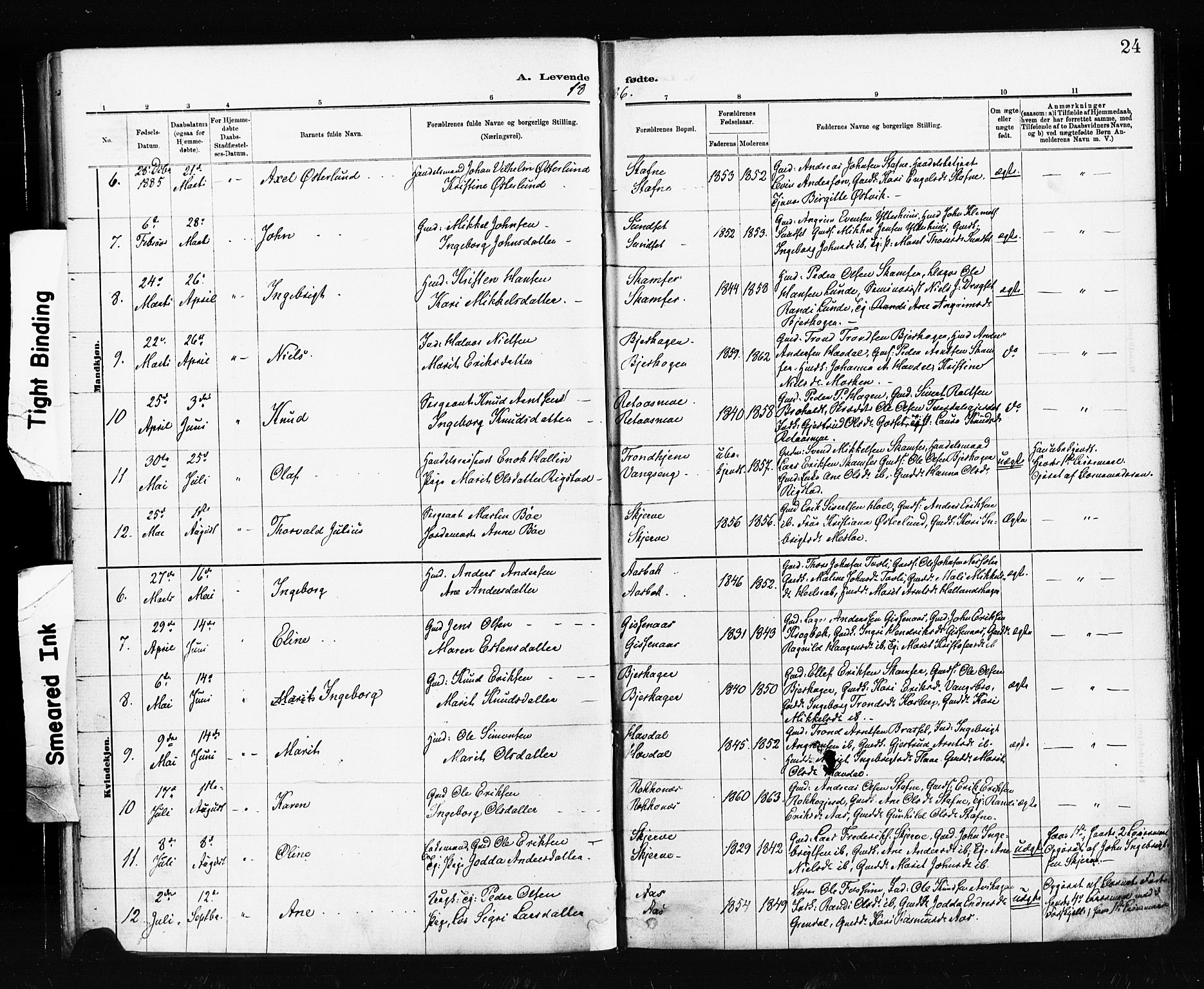 Ministerialprotokoller, klokkerbøker og fødselsregistre - Sør-Trøndelag, SAT/A-1456/674/L0871: Parish register (official) no. 674A03, 1880-1896, p. 24