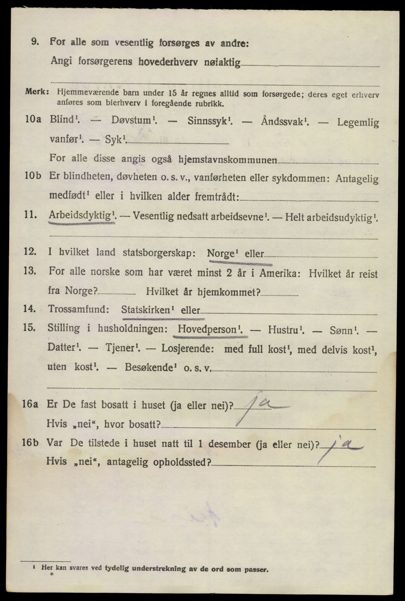 SAKO, 1920 census for Brunlanes, 1920, p. 6074
