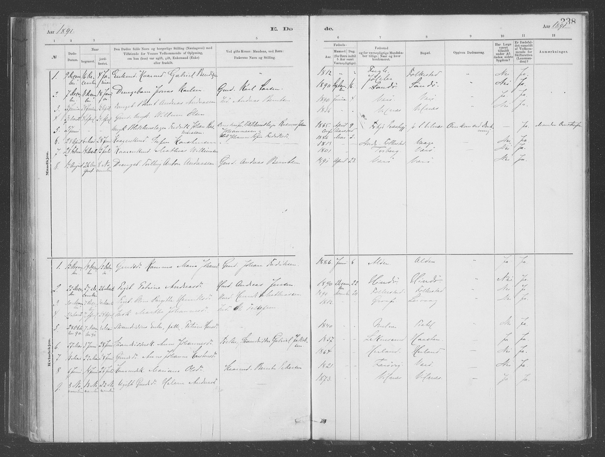 Askvoll sokneprestembete, SAB/A-79501/H/Haa/Haac/L0001: Parish register (official) no. C  1, 1879-1922, p. 238