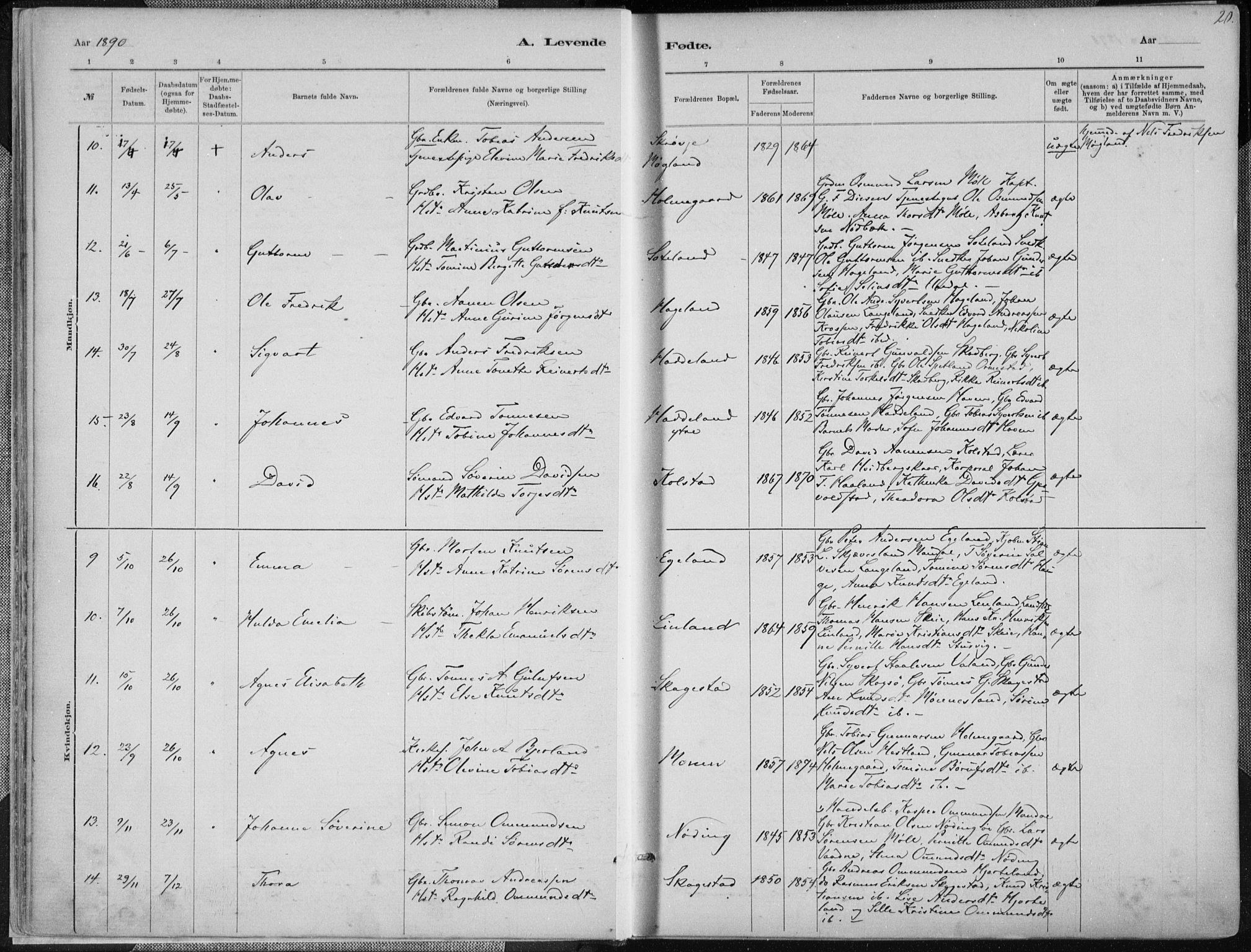 Holum sokneprestkontor, AV/SAK-1111-0022/F/Fa/Faa/L0007: Parish register (official) no. A 7, 1884-1907, p. 20