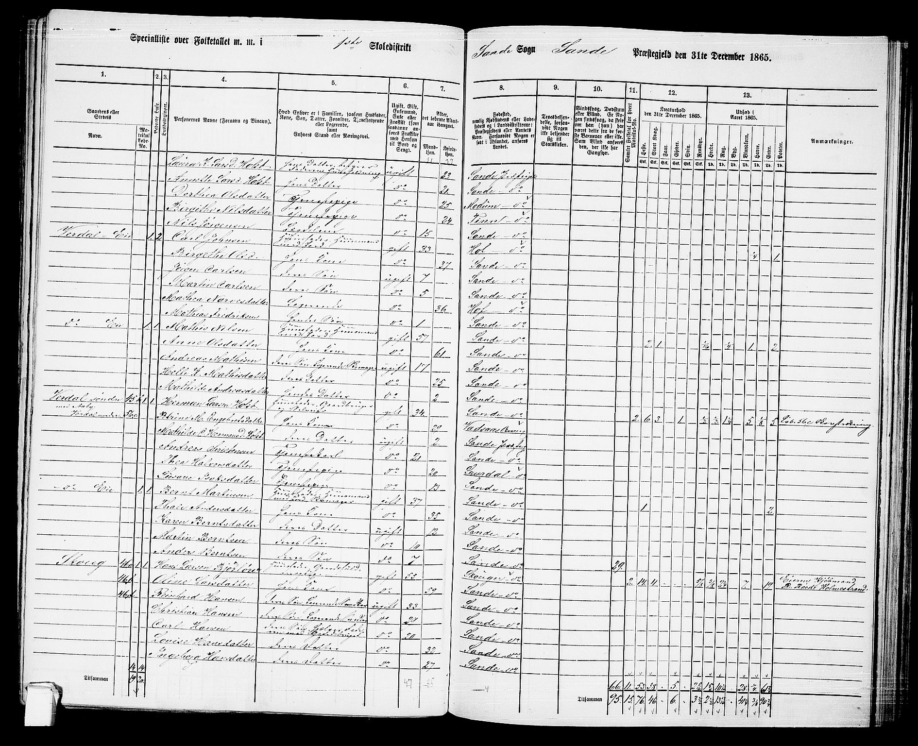 RA, 1865 census for Sande, 1865, p. 24