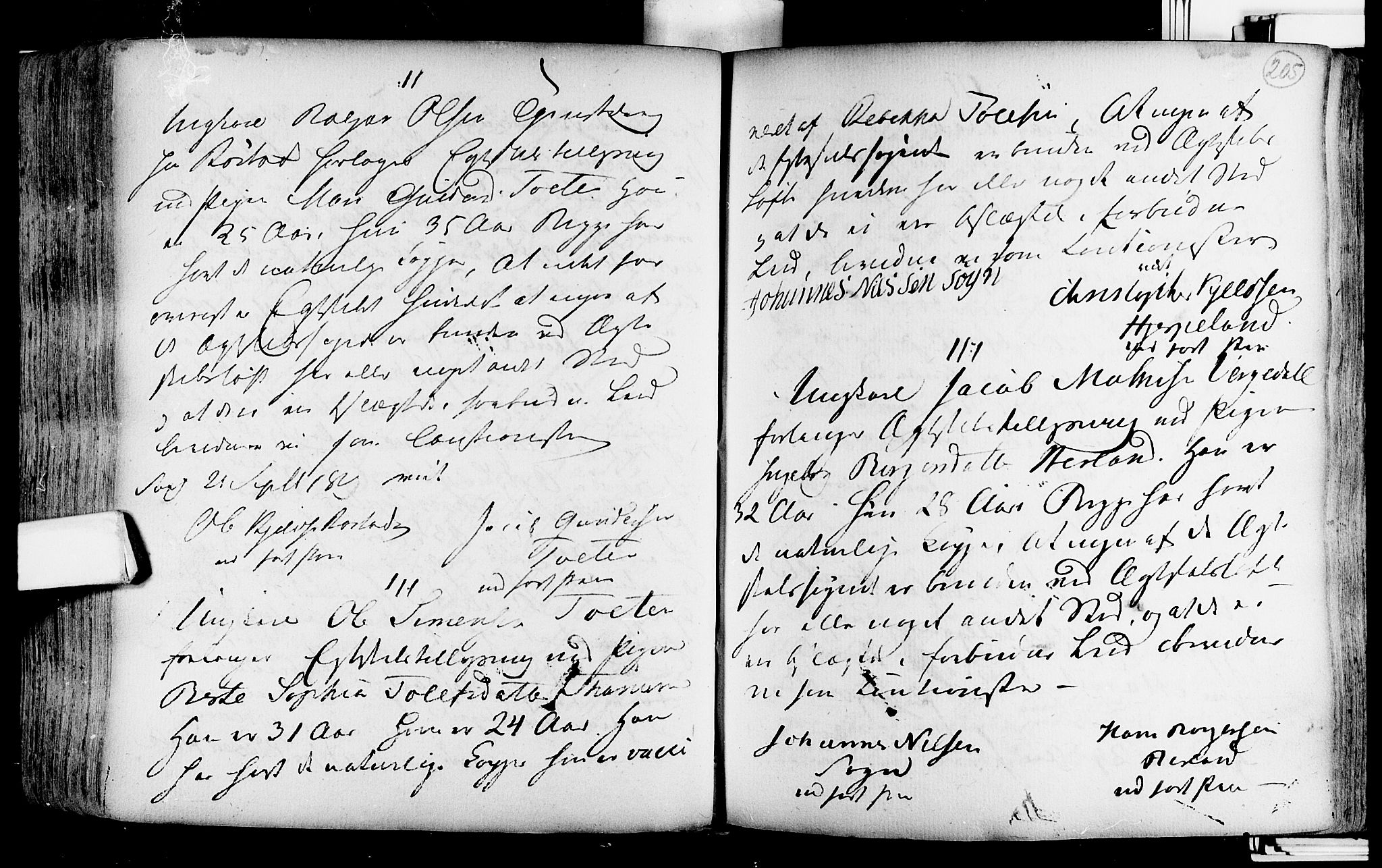 Lardal kirkebøker, AV/SAKO-A-350/F/Fa/L0004: Parish register (official) no. i 4, 1733-1815, p. 205