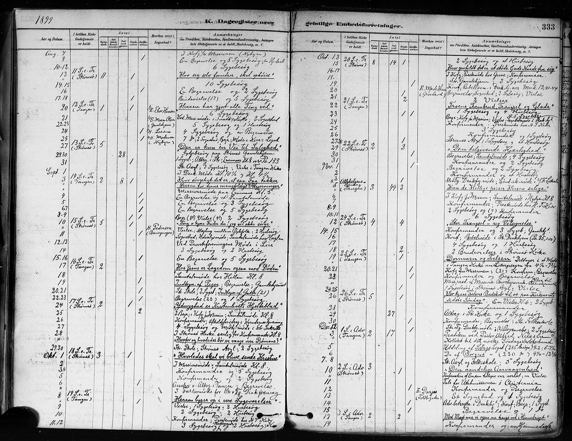 Strømsø kirkebøker, AV/SAKO-A-246/F/Fa/L0022: Parish register (official) no. I 22, 1879-1899, p. 333