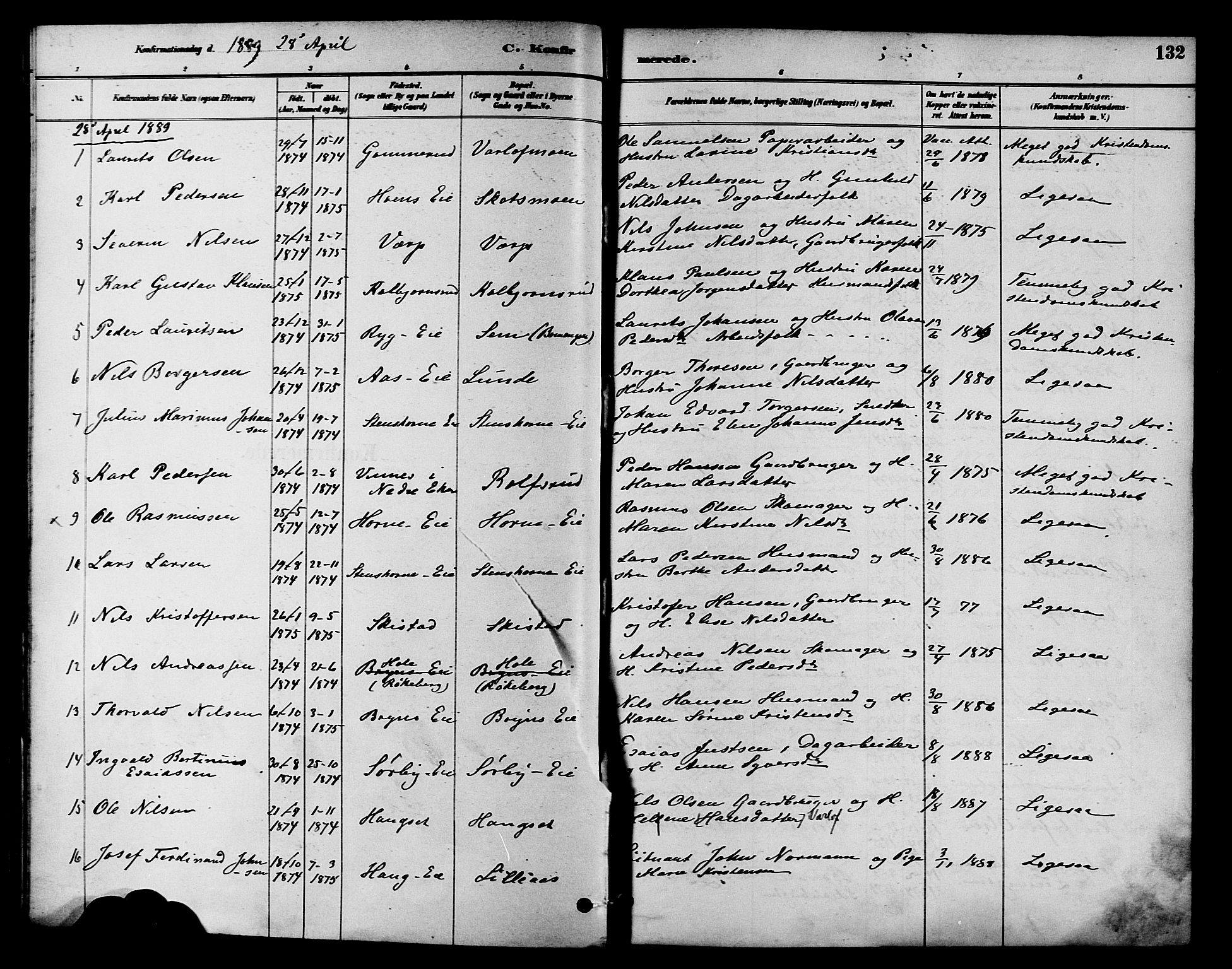 Eiker kirkebøker, AV/SAKO-A-4/F/Fb/L0002: Parish register (official) no. II 2, 1889-1896, p. 132