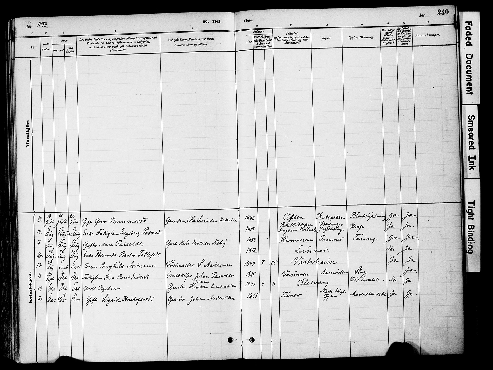 Tynset prestekontor, SAH/PREST-058/H/Ha/Haa/L0022: Parish register (official) no. 22, 1880-1899, p. 240