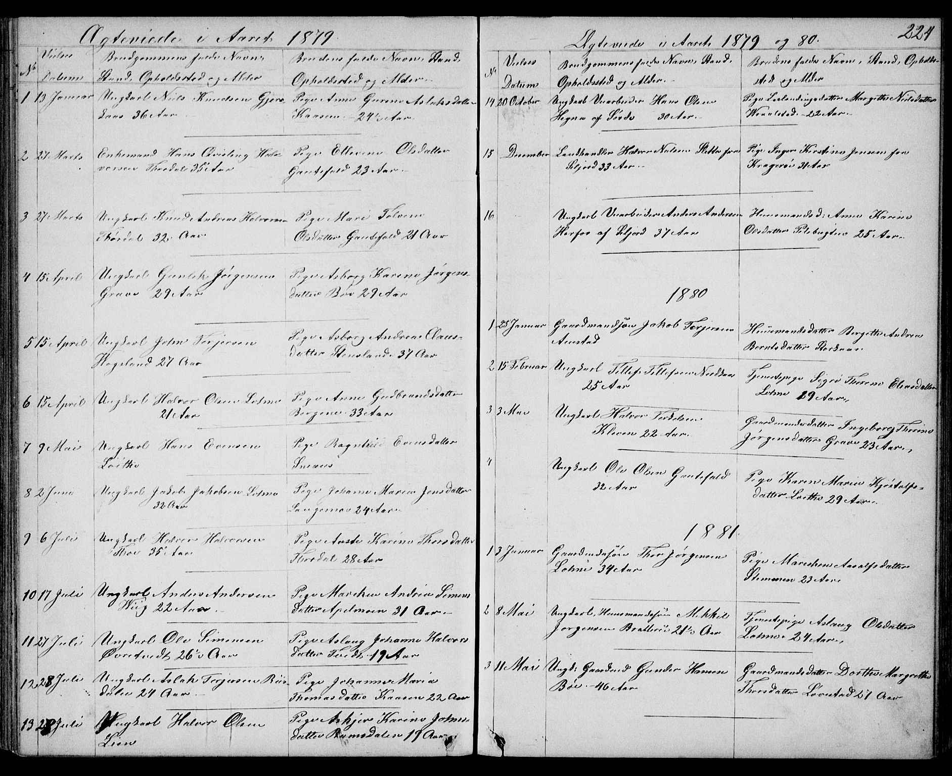 Drangedal kirkebøker, SAKO/A-258/G/Gb/L0001: Parish register (copy) no. II 1, 1856-1894, p. 224