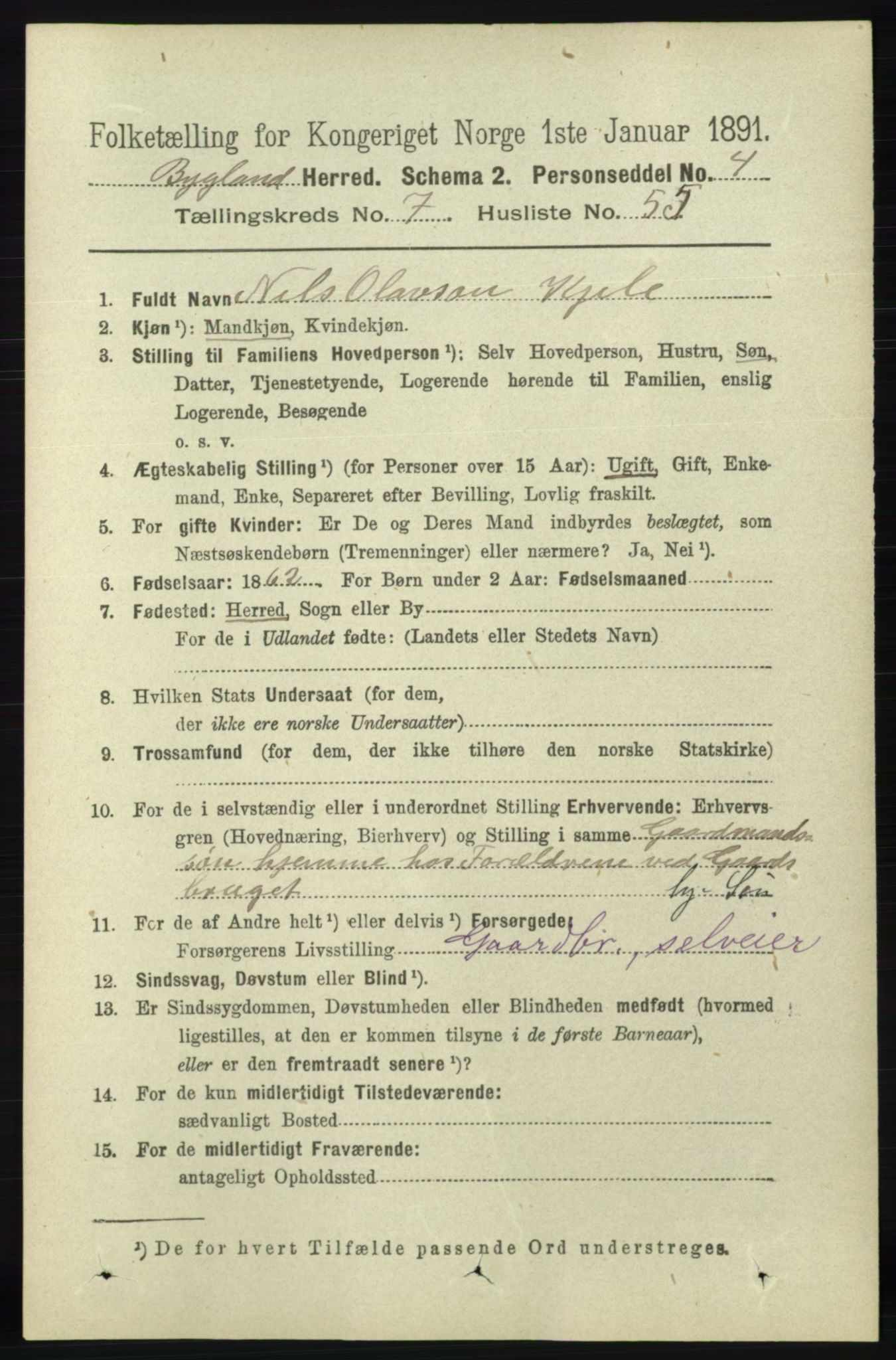 RA, 1891 census for 0938 Bygland, 1891, p. 1860