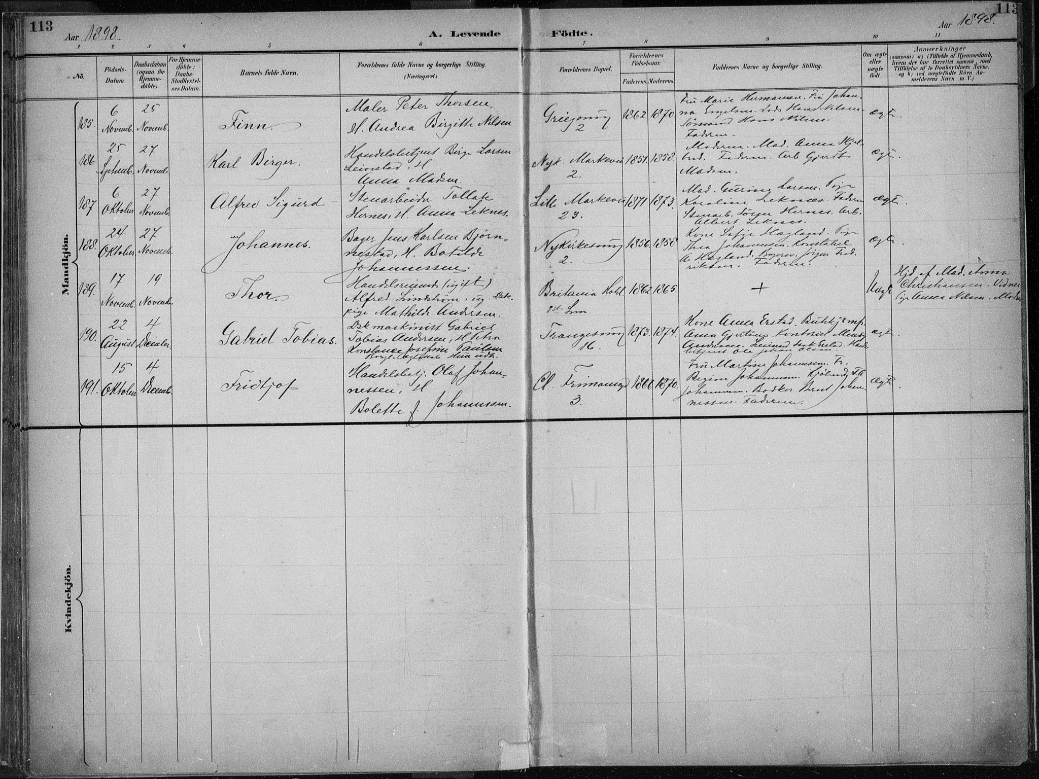 Nykirken Sokneprestembete, AV/SAB-A-77101/H/Haa/L0018: Parish register (official) no. B 6, 1895-1903, p. 113