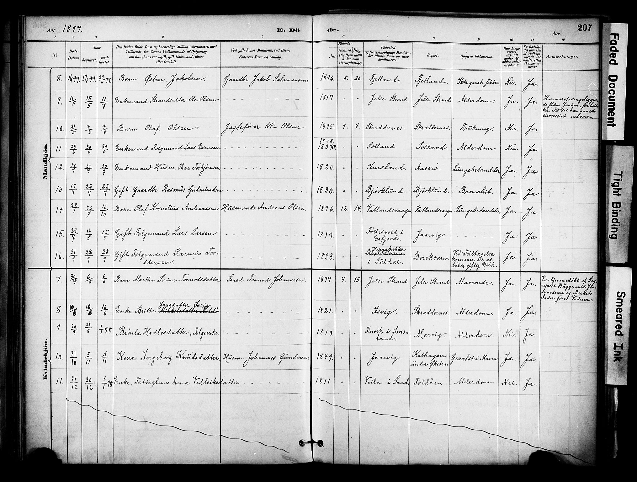 Jelsa sokneprestkontor, AV/SAST-A-101842/01/IV: Parish register (official) no. A 10, 1884-1906, p. 207