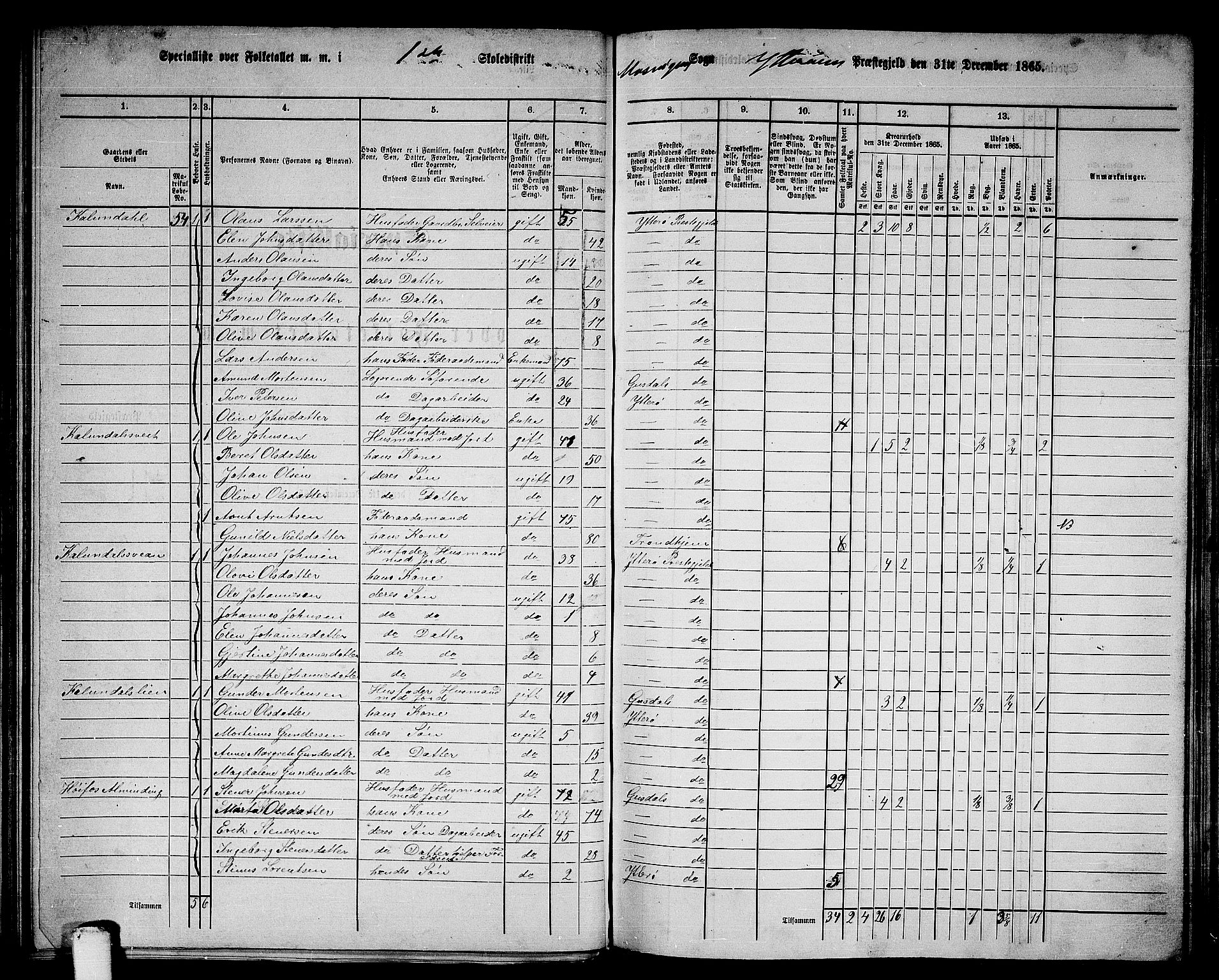 RA, 1865 census for Ytterøy, 1865, p. 70