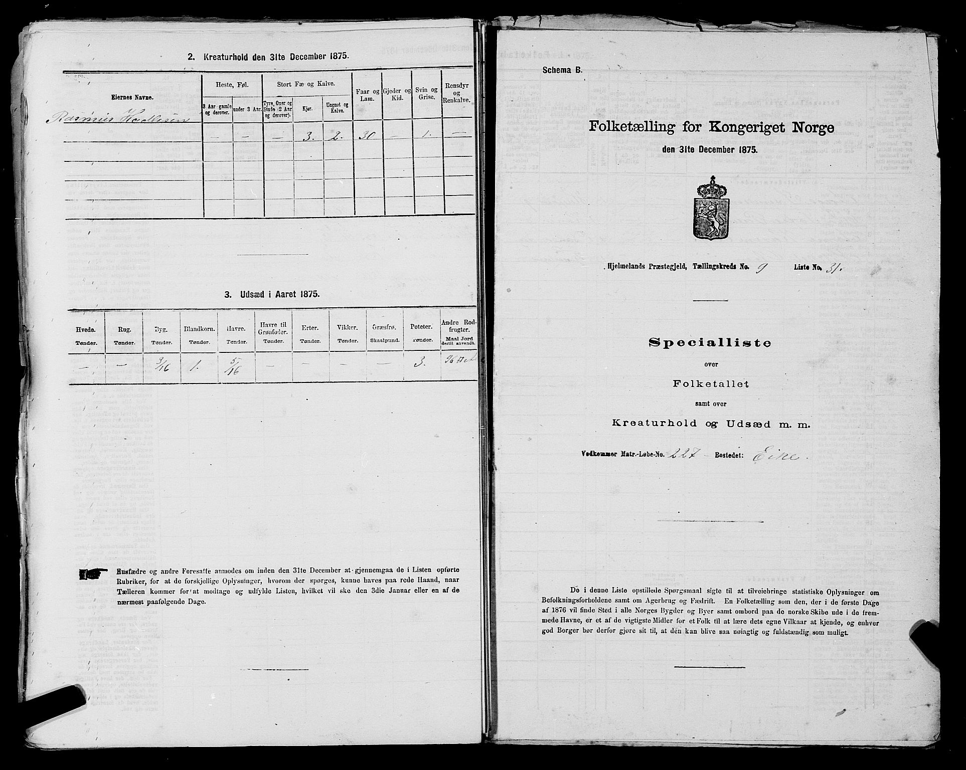 SAST, 1875 census for 1133P Hjelmeland, 1875, p. 1207