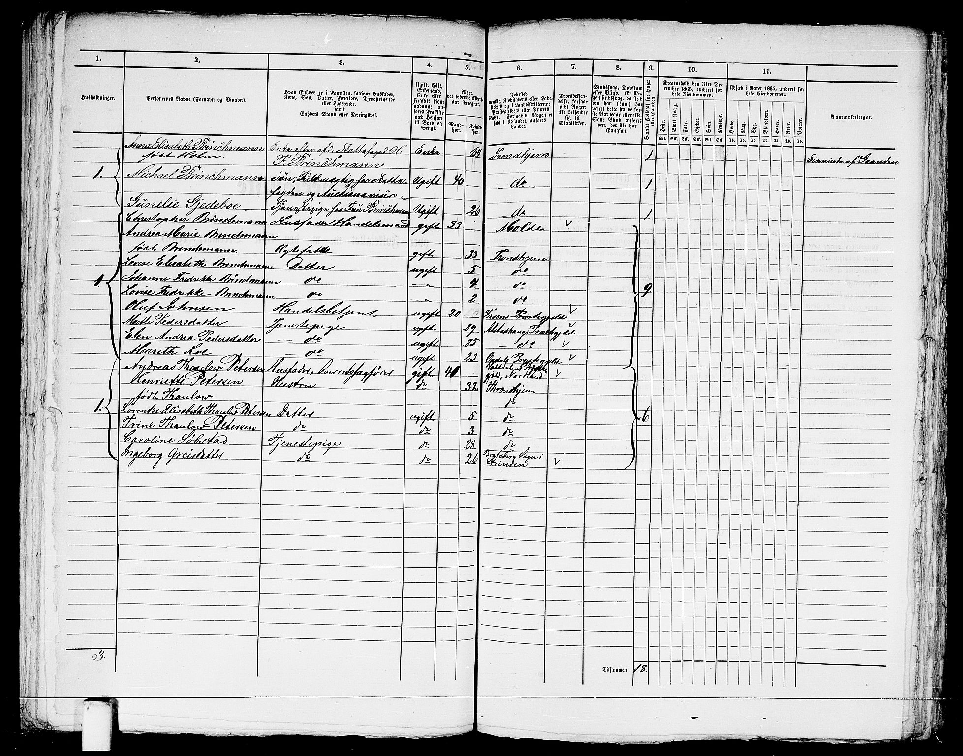 RA, 1865 census for Trondheim, 1865, p. 1300