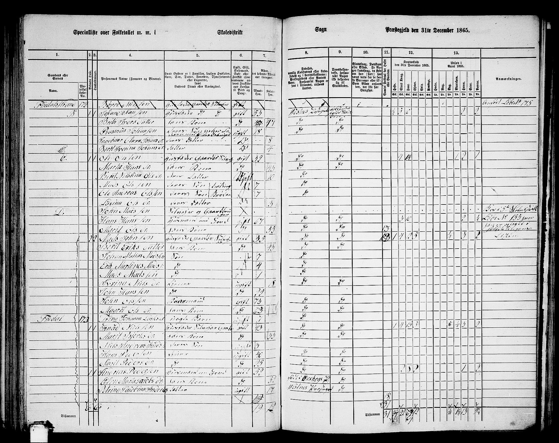 RA, 1865 census for Vestnes, 1865, p. 119