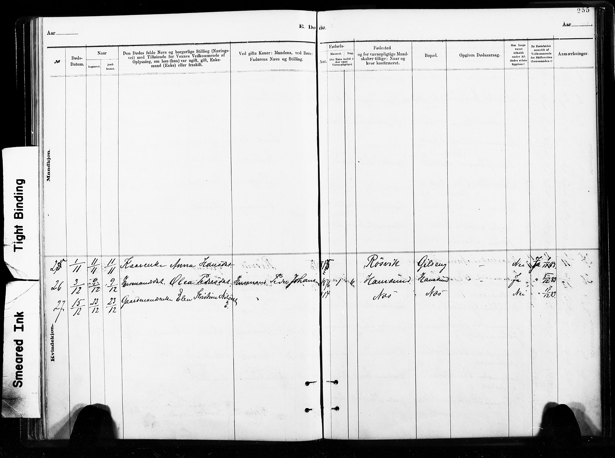 Ministerialprotokoller, klokkerbøker og fødselsregistre - Nordland, AV/SAT-A-1459/859/L0846: Parish register (official) no. 859A06, 1878-1889, p. 255