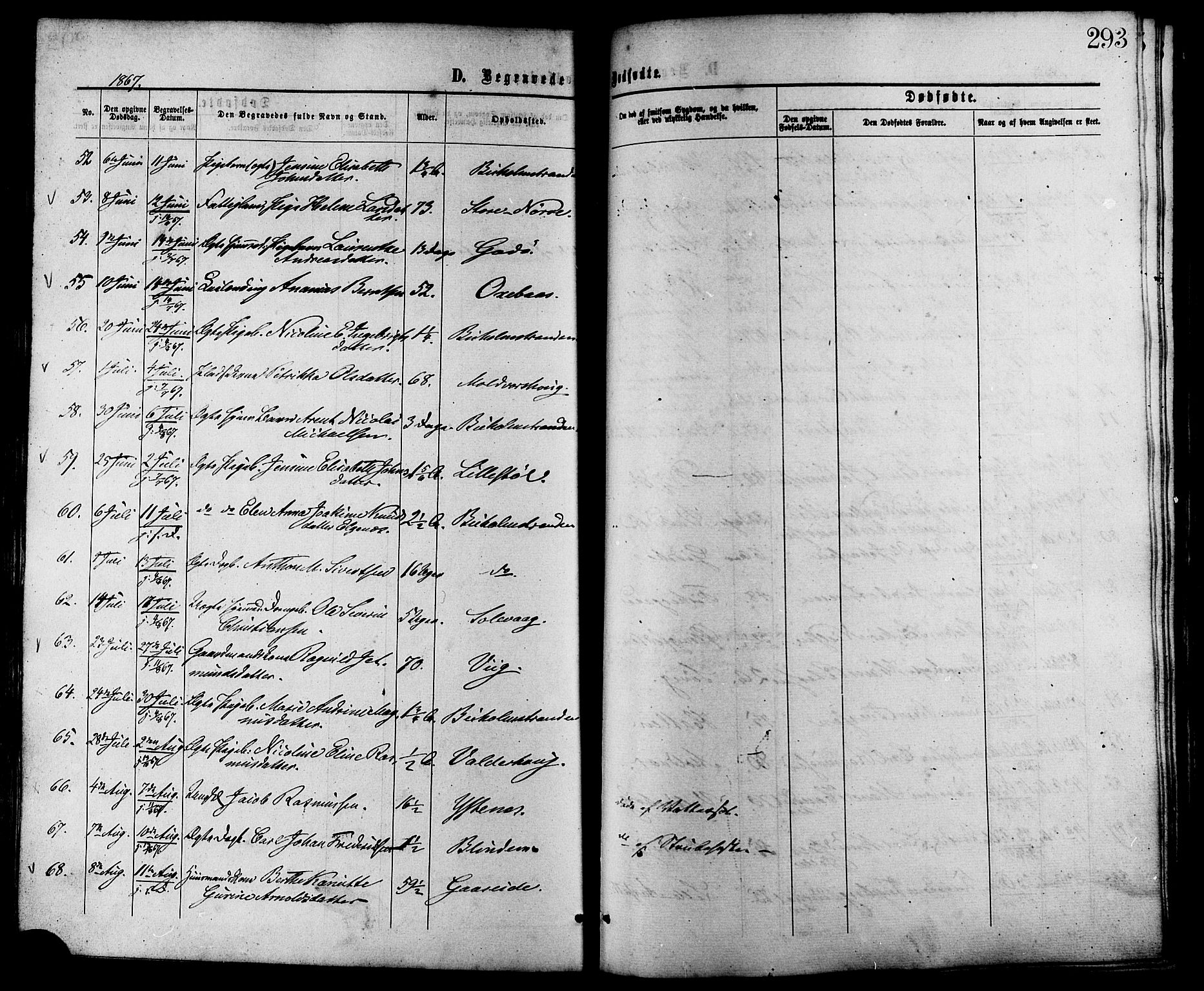 Ministerialprotokoller, klokkerbøker og fødselsregistre - Møre og Romsdal, AV/SAT-A-1454/528/L0399: Parish register (official) no. 528A10, 1864-1879, p. 293