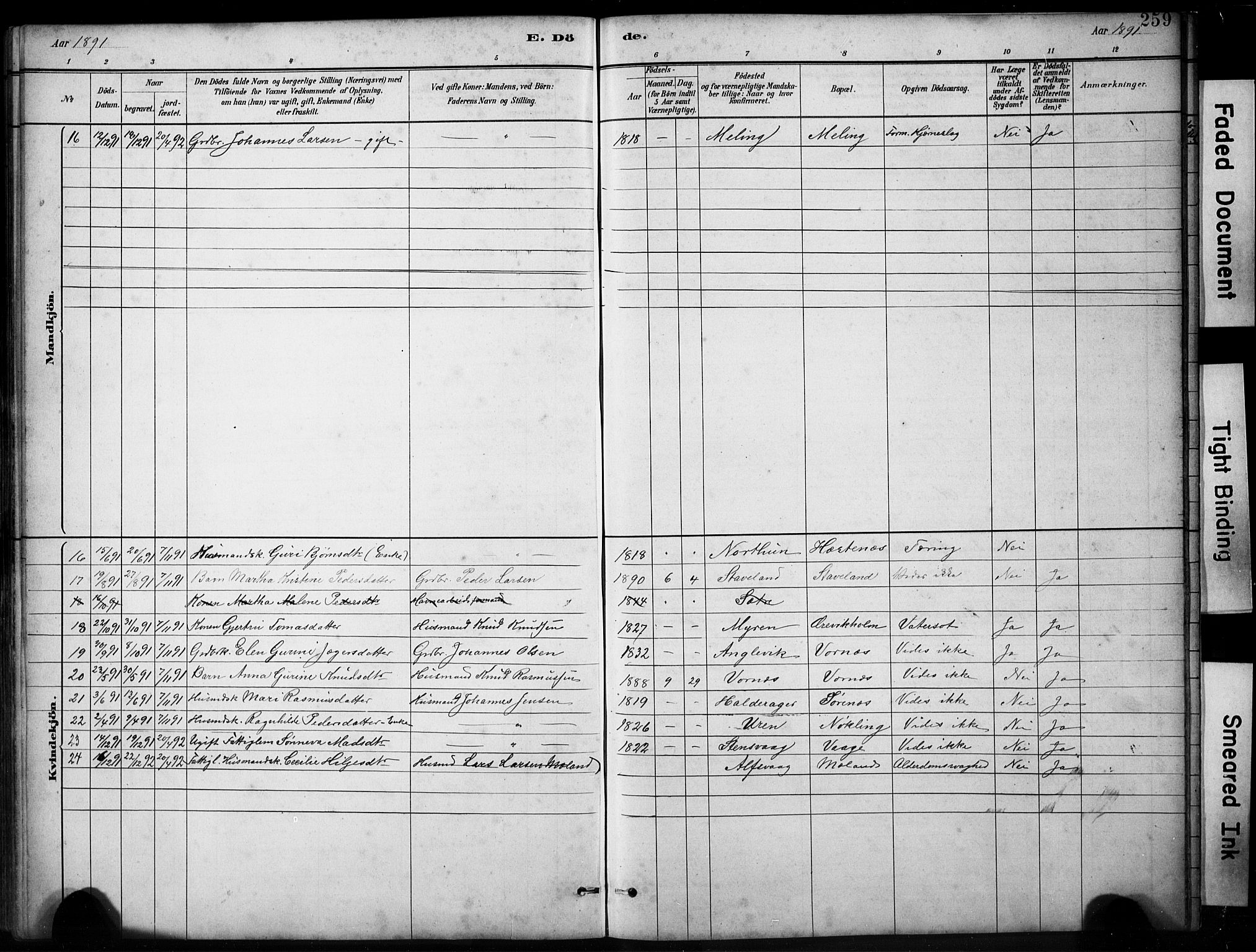 Finnås sokneprestembete, AV/SAB-A-99925/H/Ha/Hab/Habb/L0003: Parish register (copy) no. B 3, 1882-1897, p. 259