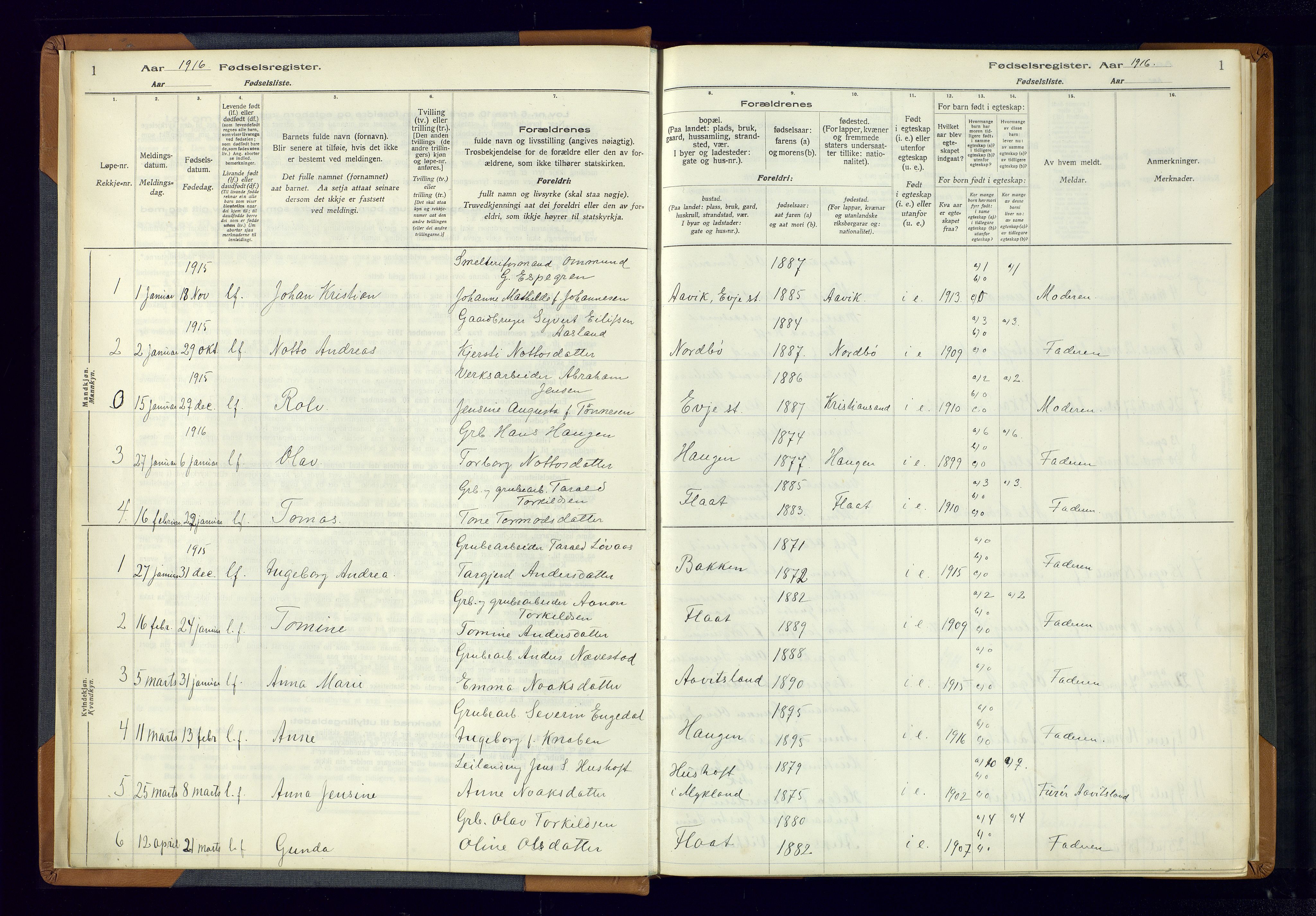 Evje sokneprestkontor, AV/SAK-1111-0008/J/Jc/L0004: Birth register no. 4, 1916-1968, p. 1