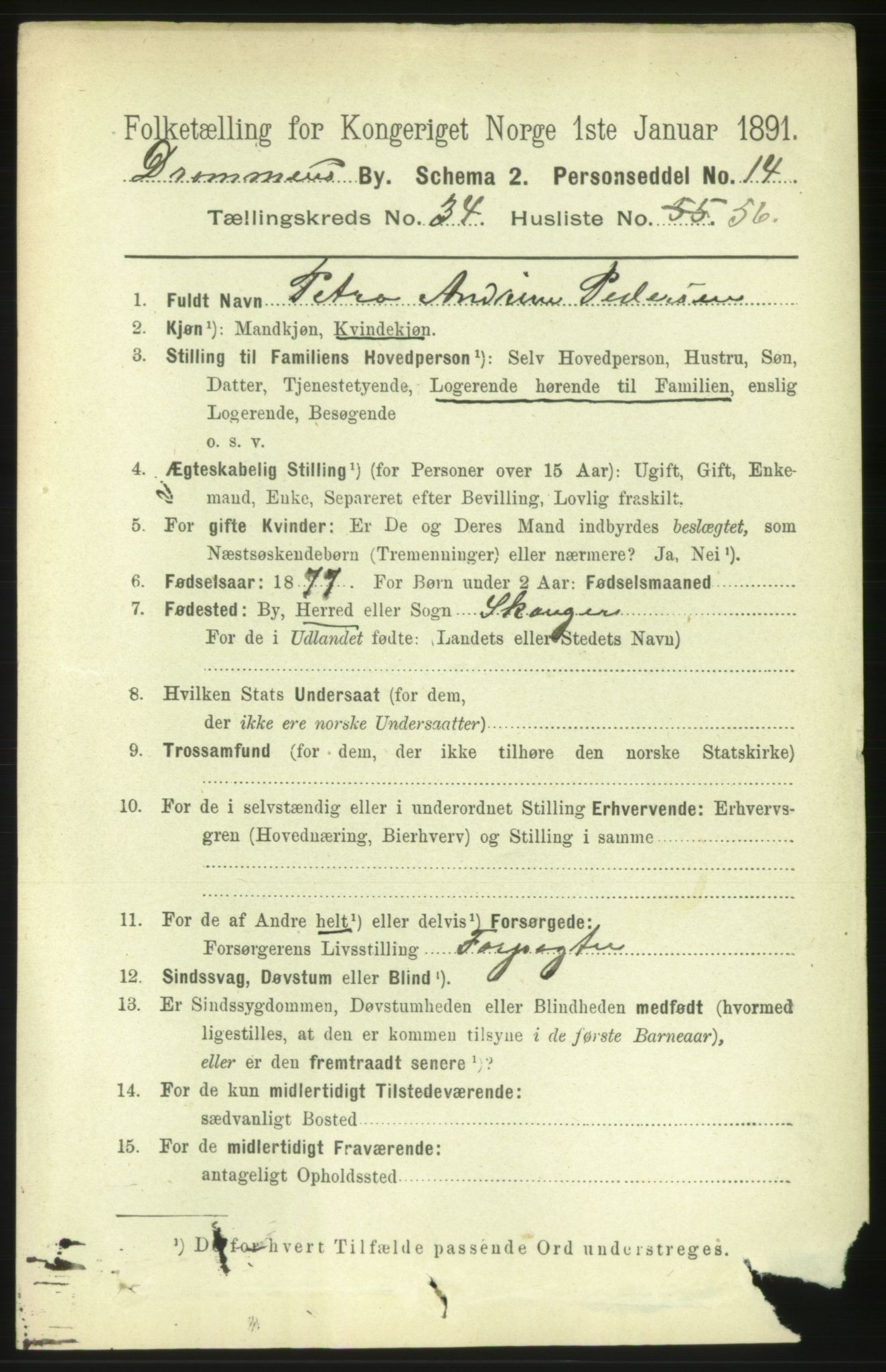 RA, 1891 census for 0602 Drammen, 1891, p. 21075