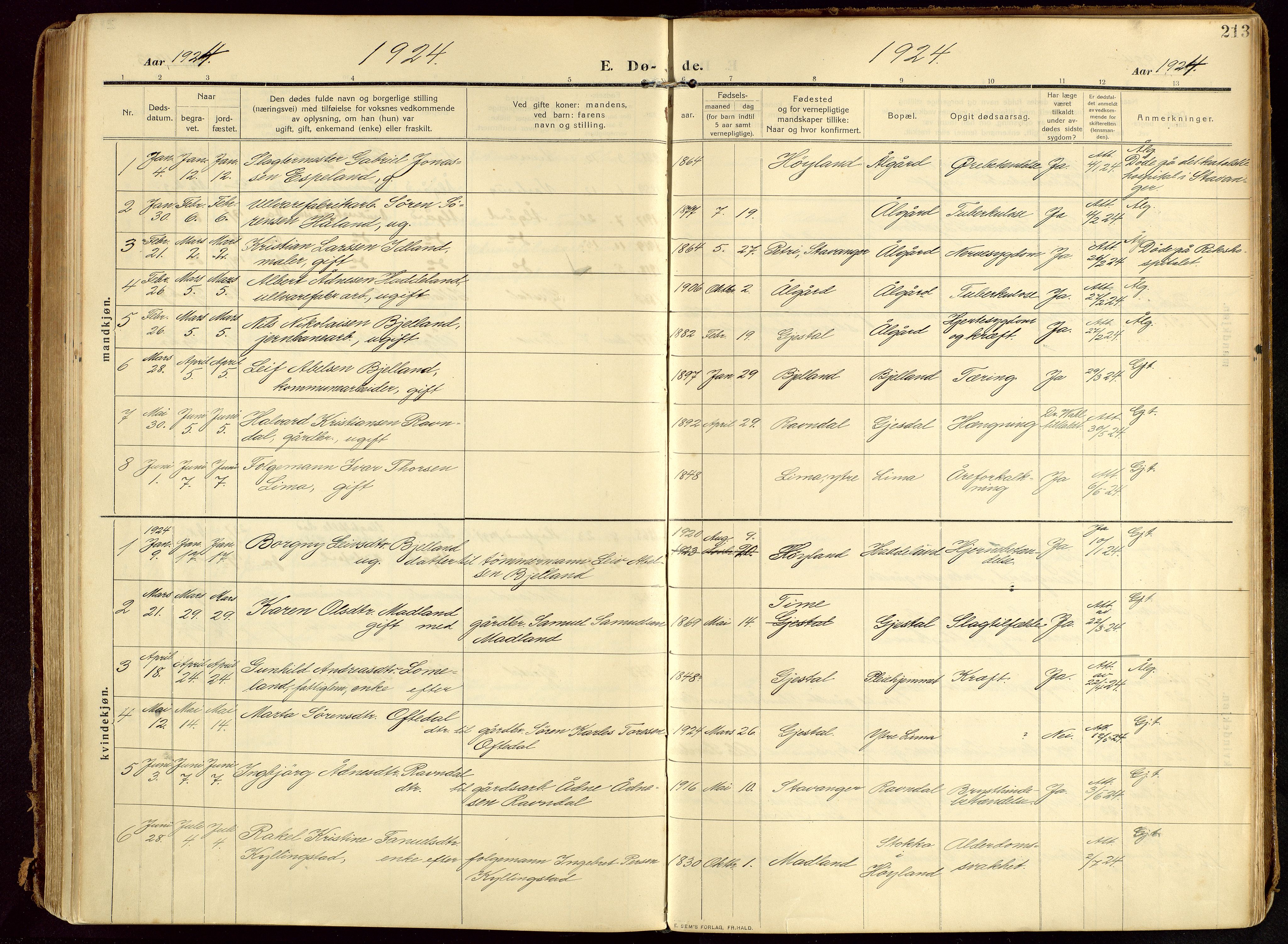 Lye sokneprestkontor, SAST/A-101794/002/B/L0001: Parish register (official) no. A 13, 1910-1925, p. 213