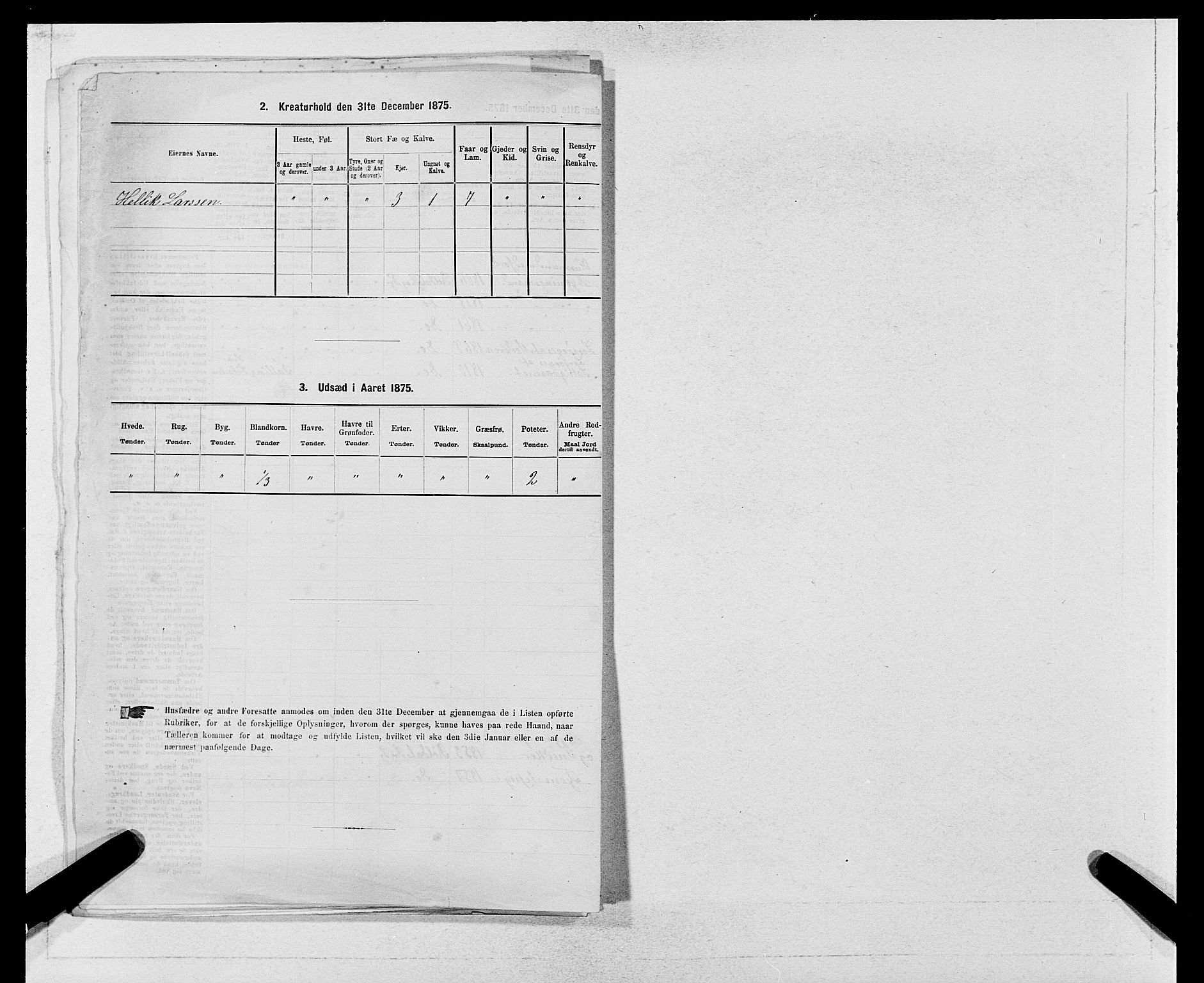 SAB, 1875 census for 1229P Røldal, 1875, p. 145