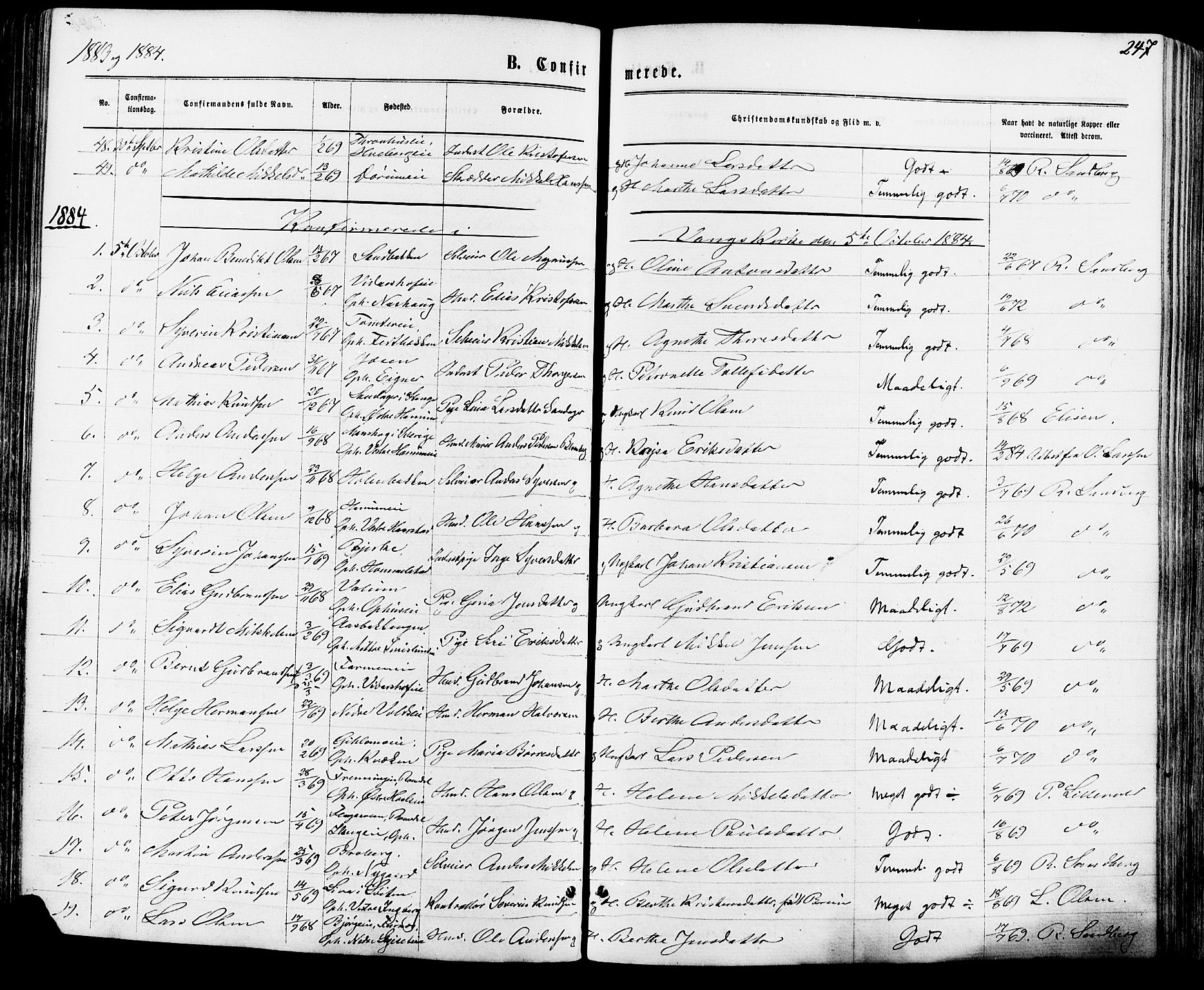 Vang prestekontor, Hedmark, AV/SAH-PREST-008/H/Ha/Haa/L0015: Parish register (official) no. 15, 1871-1885, p. 247