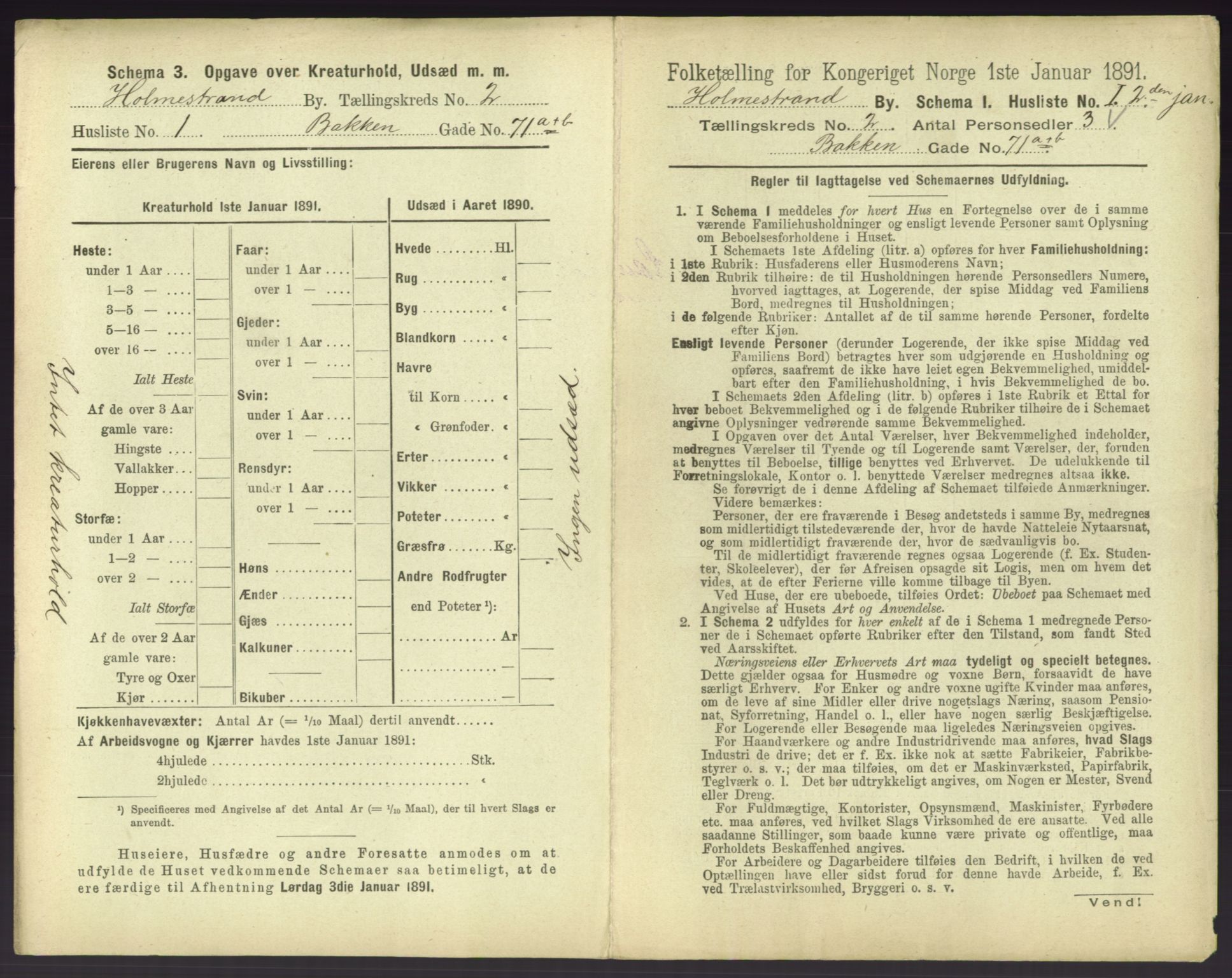 RA, 1891 census for 0702 Holmestrand, 1891, p. 122