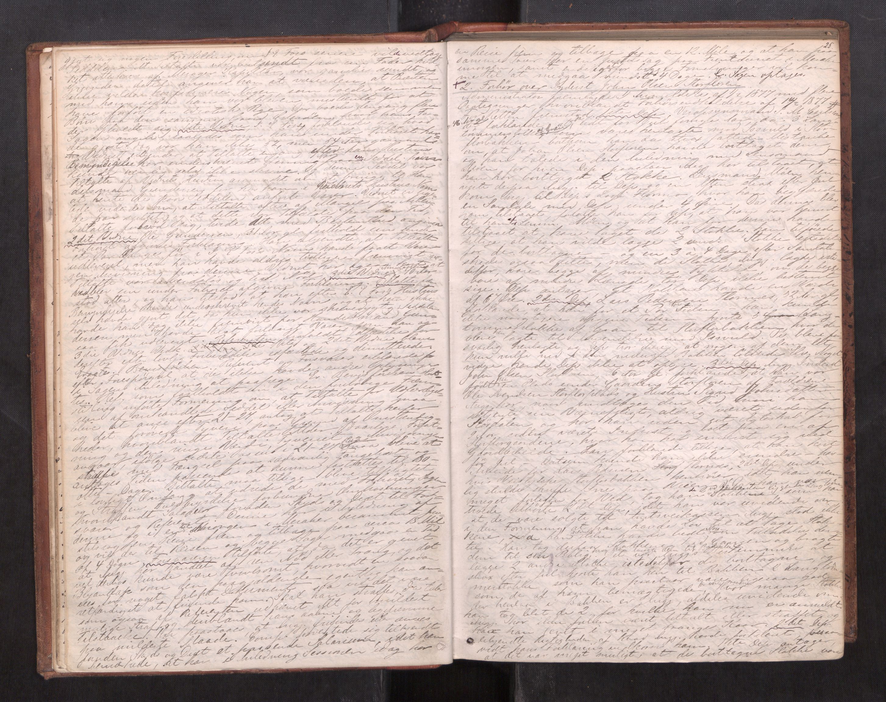 Stjør- og Verdal sorenskriveri, AV/SAT-A-4167/1/1/1B/L0029: Ekstrarettsprotokoll, 1876-1887, p. 24b-25a