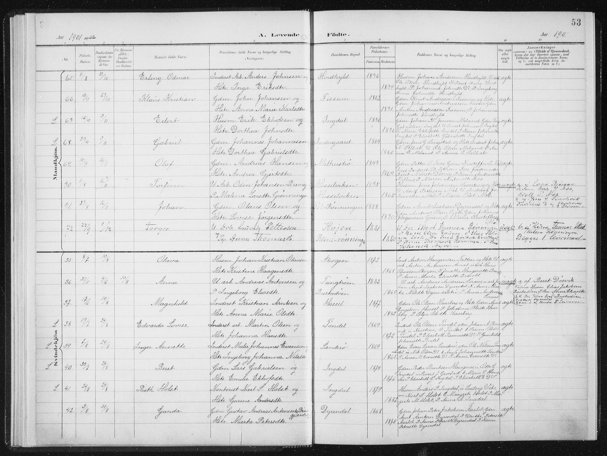 Ministerialprotokoller, klokkerbøker og fødselsregistre - Sør-Trøndelag, AV/SAT-A-1456/647/L0635: Parish register (official) no. 647A02, 1896-1911, p. 53