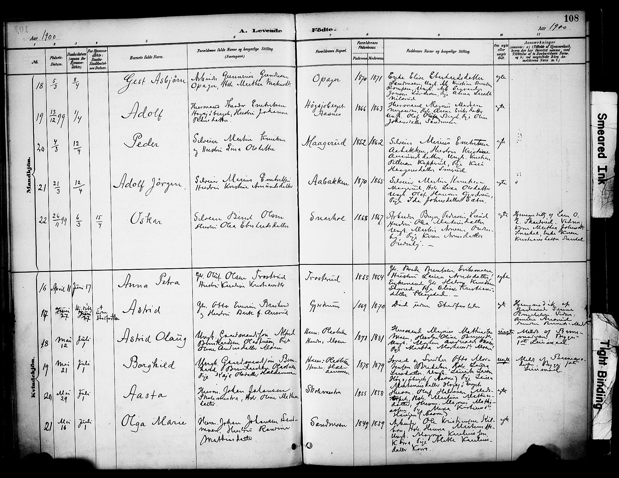 Våler prestekontor, Hedmark, AV/SAH-PREST-040/H/Ha/Haa/L0005: Parish register (official) no. 5, 1887-1905, p. 108