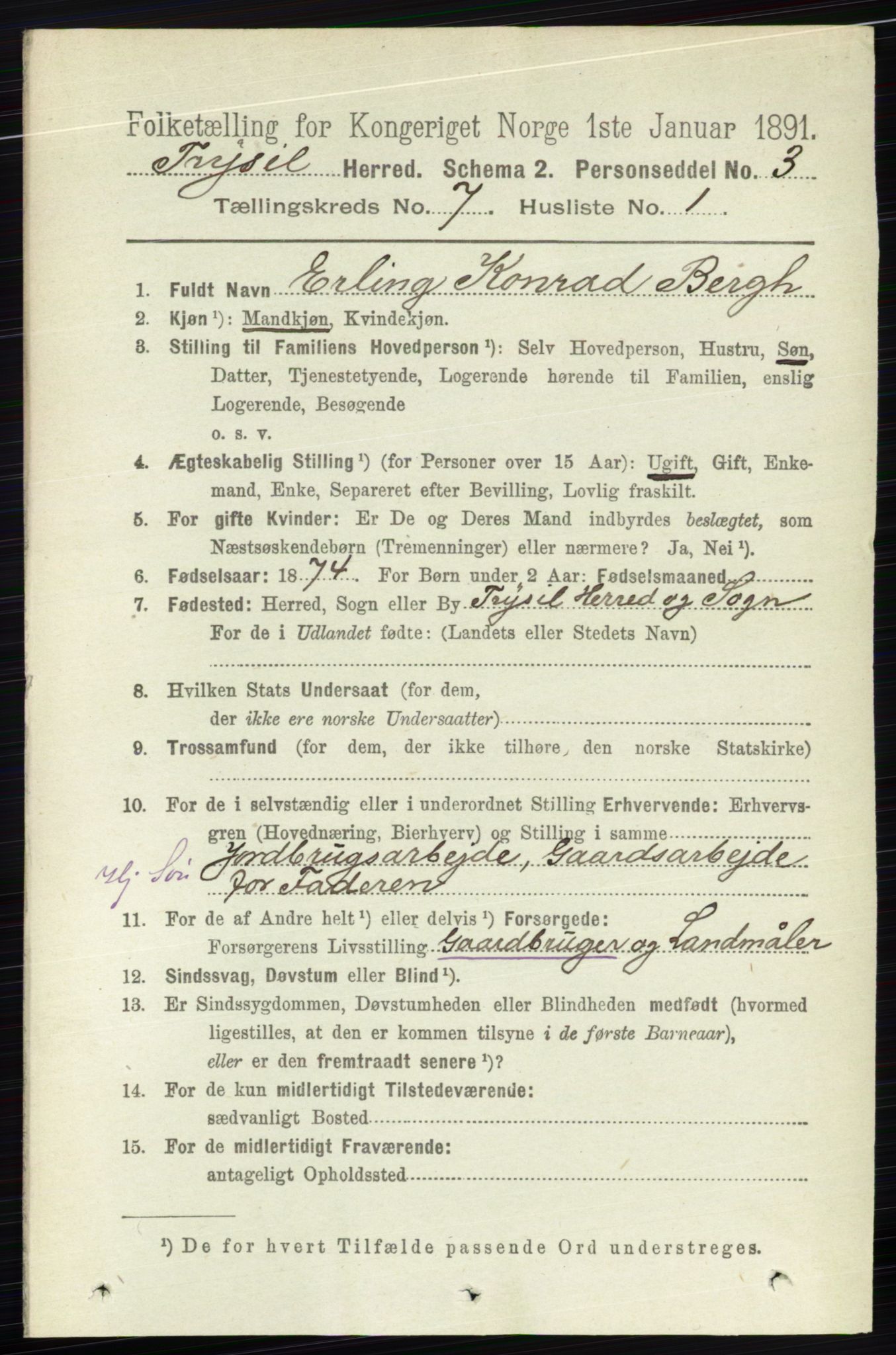 RA, 1891 census for 0428 Trysil, 1891, p. 3141