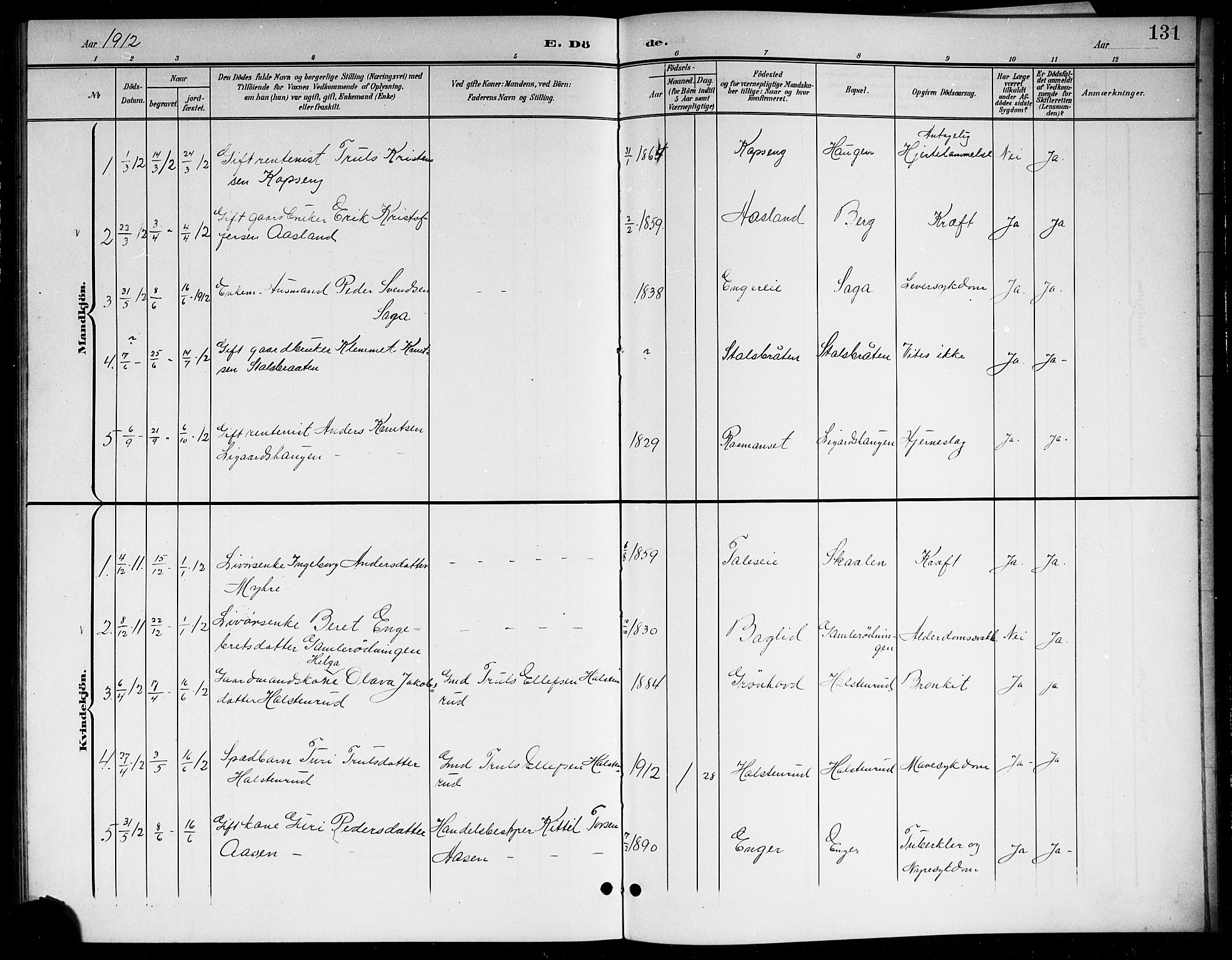Sigdal kirkebøker, SAKO/A-245/G/Gb/L0003: Parish register (copy) no. II 3, 1901-1916, p. 131