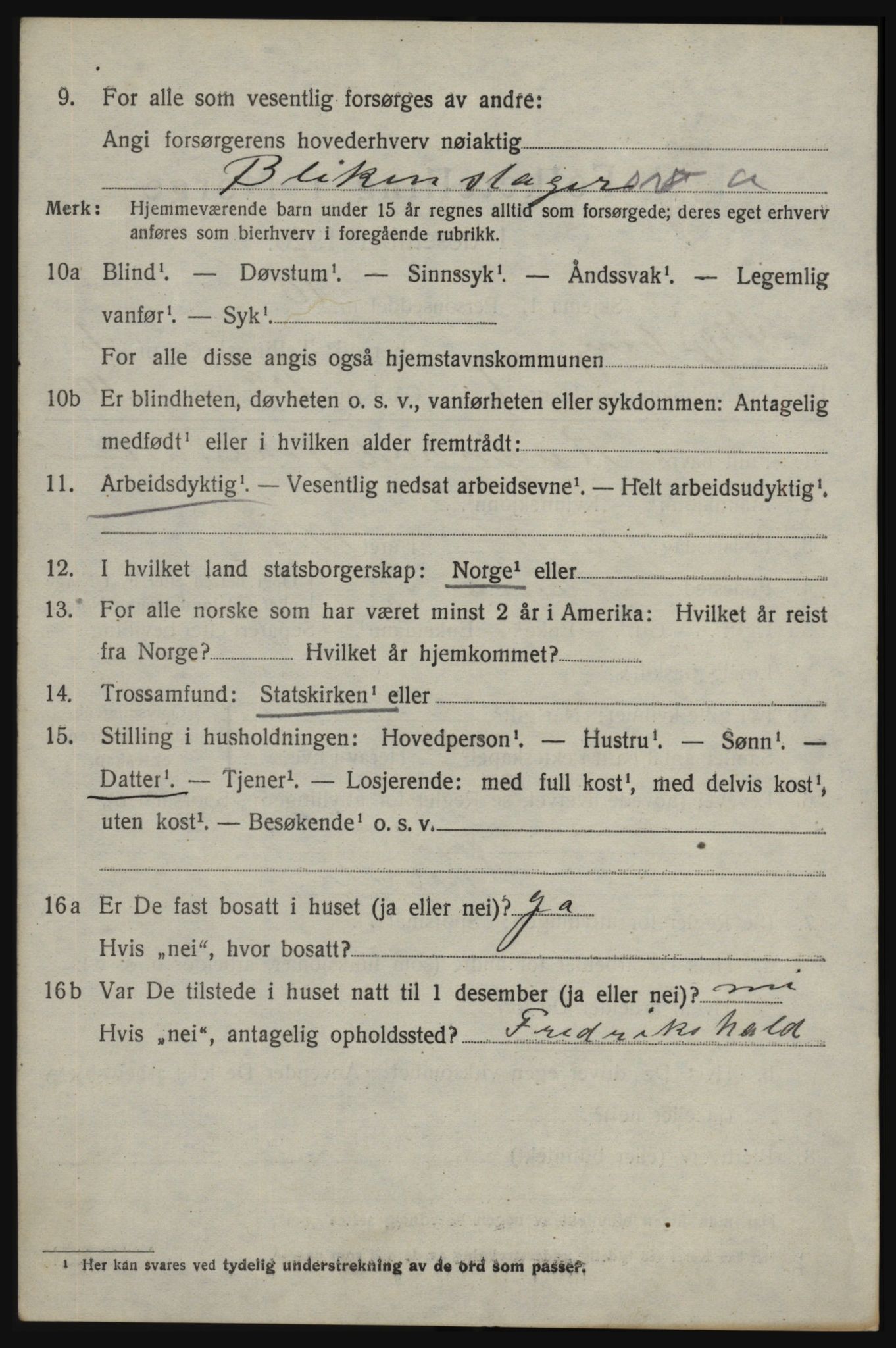 SAO, 1920 census for Skjeberg, 1920, p. 6618