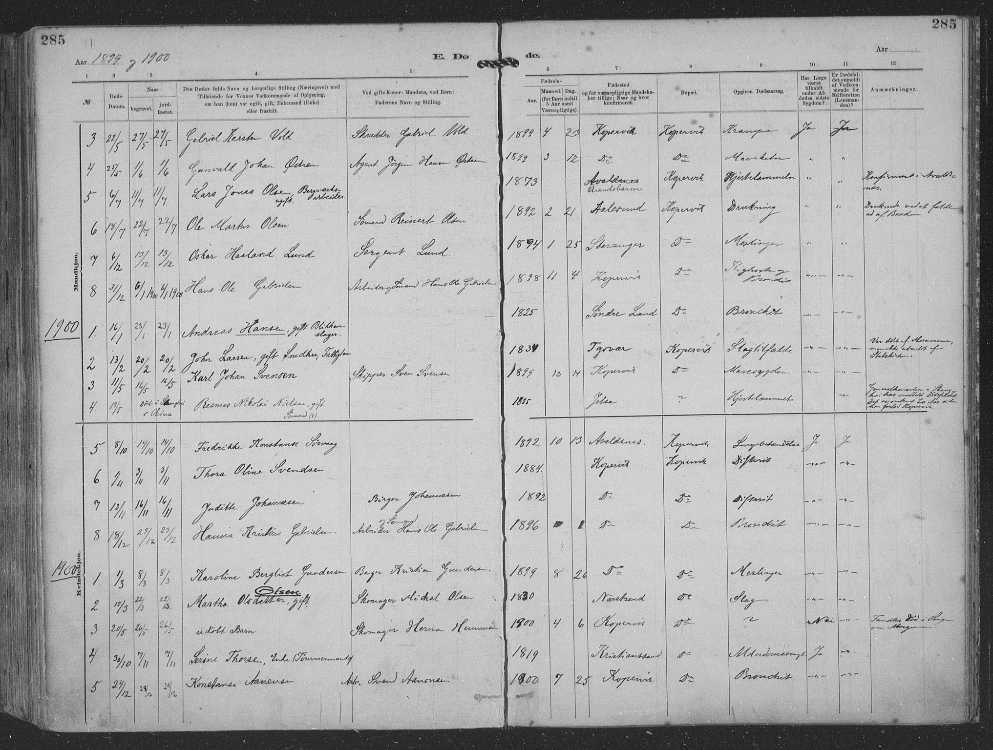 Kopervik sokneprestkontor, SAST/A-101850/H/Ha/Haa/L0001: Parish register (official) no. A 1, 1880-1919, p. 285