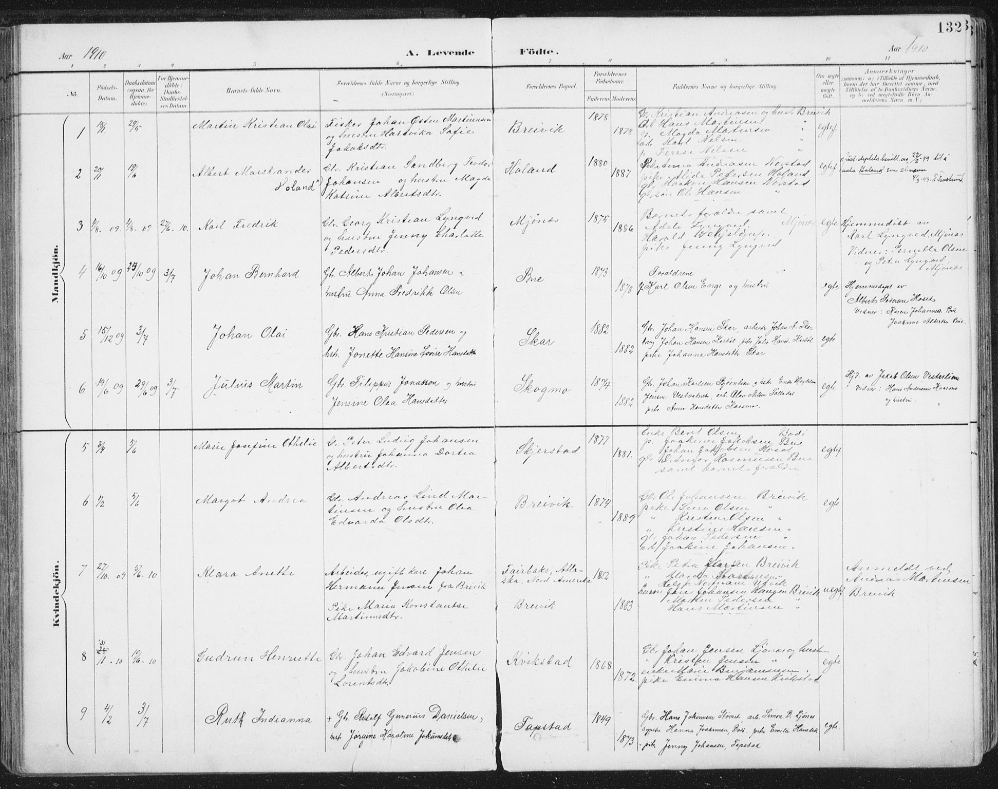 Ministerialprotokoller, klokkerbøker og fødselsregistre - Nordland, SAT/A-1459/852/L0741: Parish register (official) no. 852A11, 1894-1917, p. 132