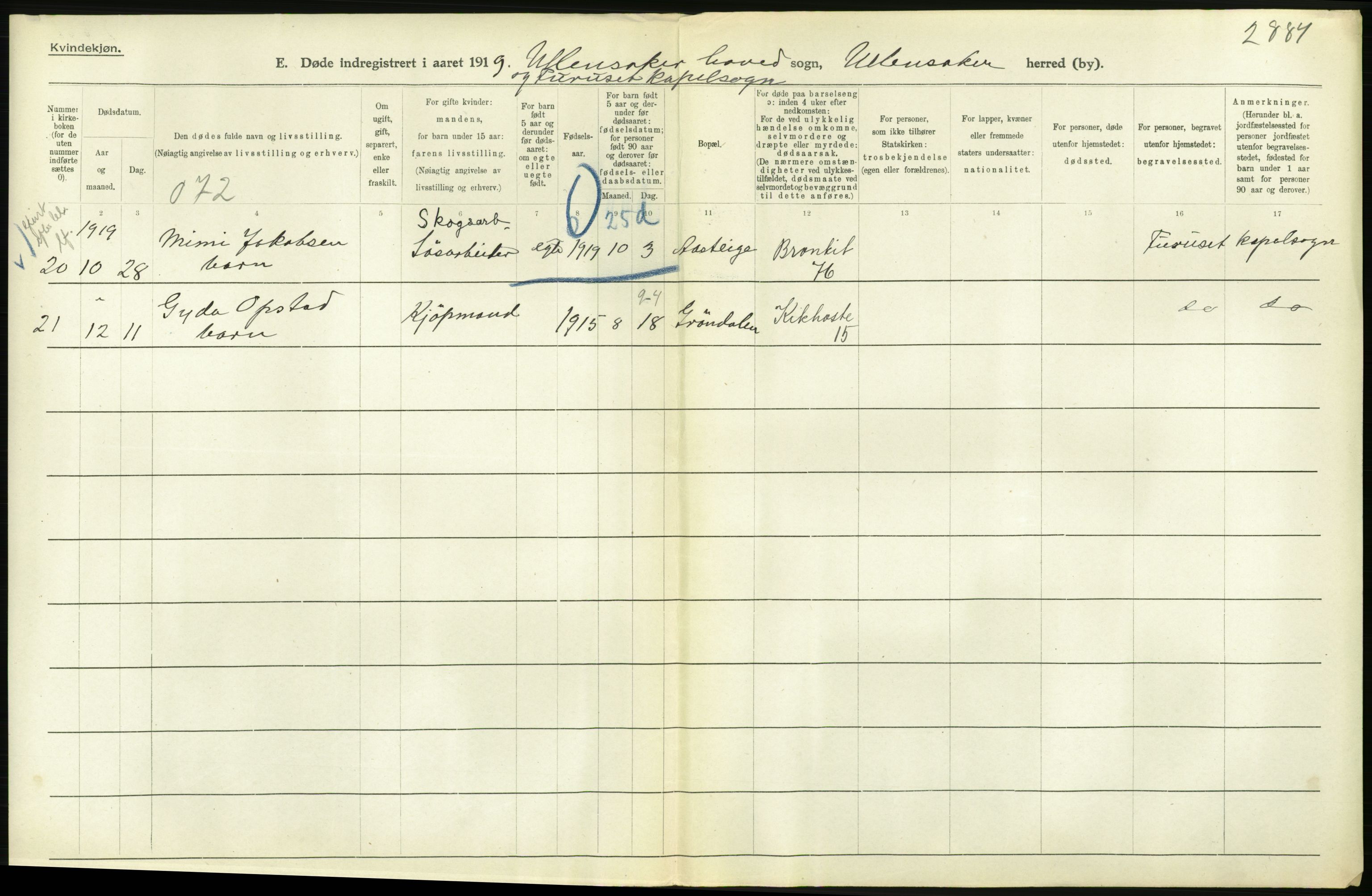 Statistisk sentralbyrå, Sosiodemografiske emner, Befolkning, RA/S-2228/D/Df/Dfb/Dfbi/L0006: Akershus fylke: Døde. Bygder og byer., 1919, p. 484