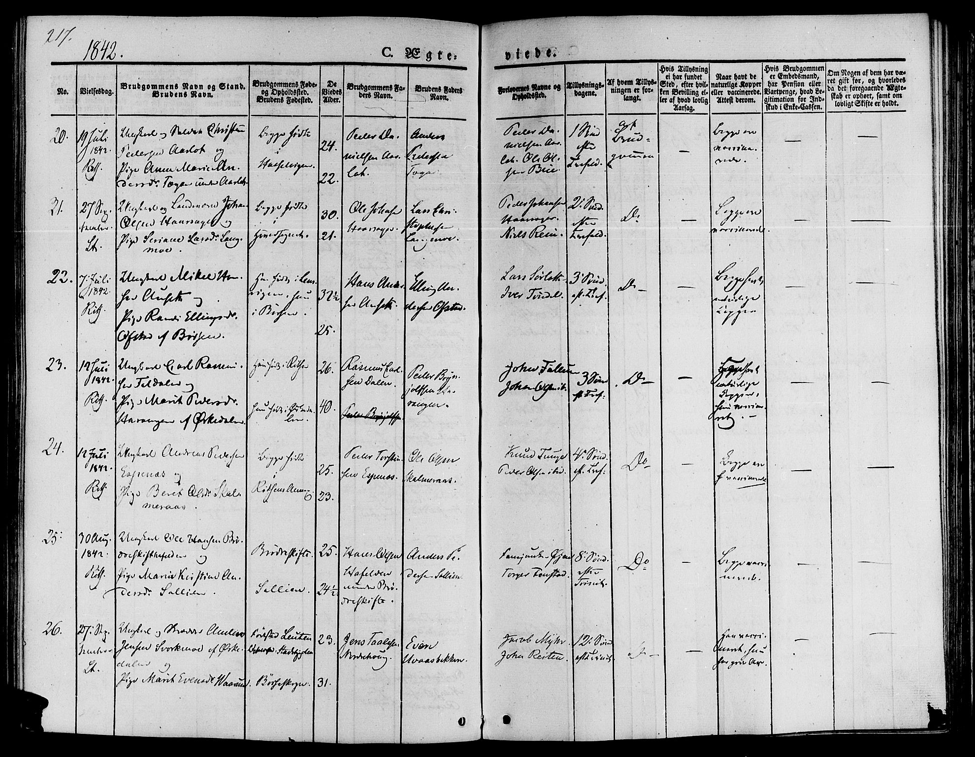 Ministerialprotokoller, klokkerbøker og fødselsregistre - Sør-Trøndelag, AV/SAT-A-1456/646/L0610: Parish register (official) no. 646A08, 1837-1847, p. 217