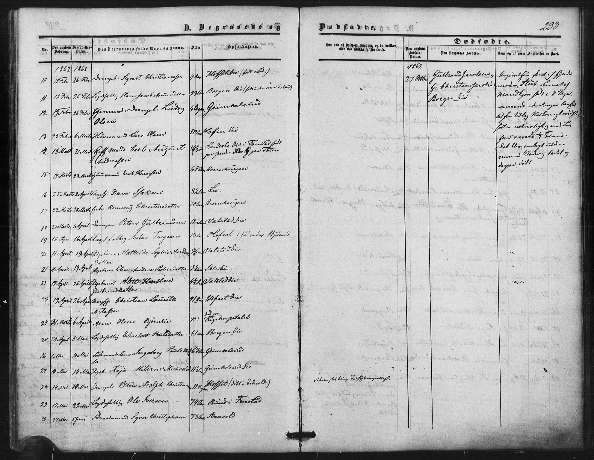 Nes prestekontor Kirkebøker, AV/SAO-A-10410/F/Fb/L0001: Parish register (official) no. II 1, 1859-1882, p. 233