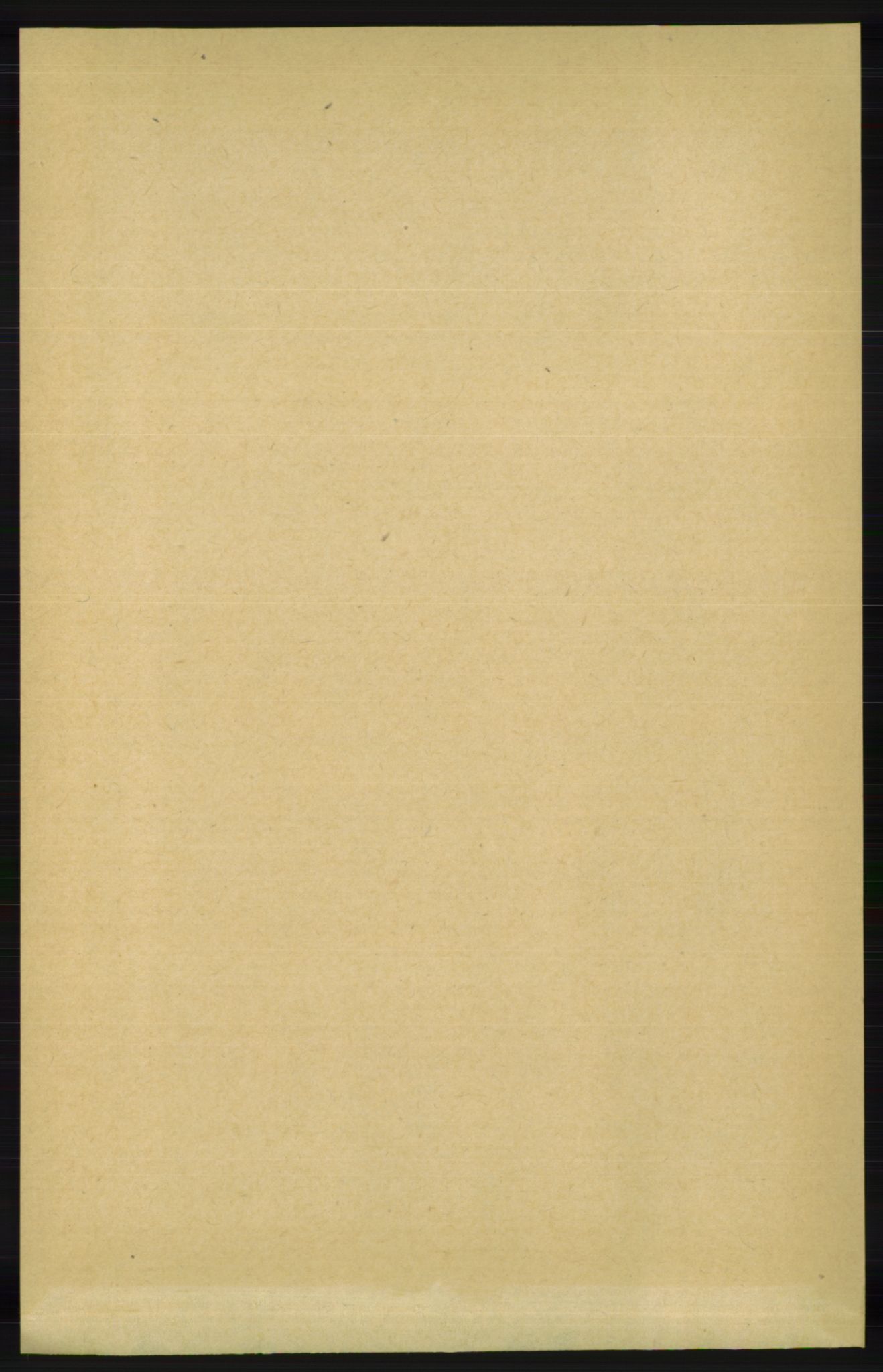 RA, 1891 census for 1026 Åseral, 1891, p. 1163