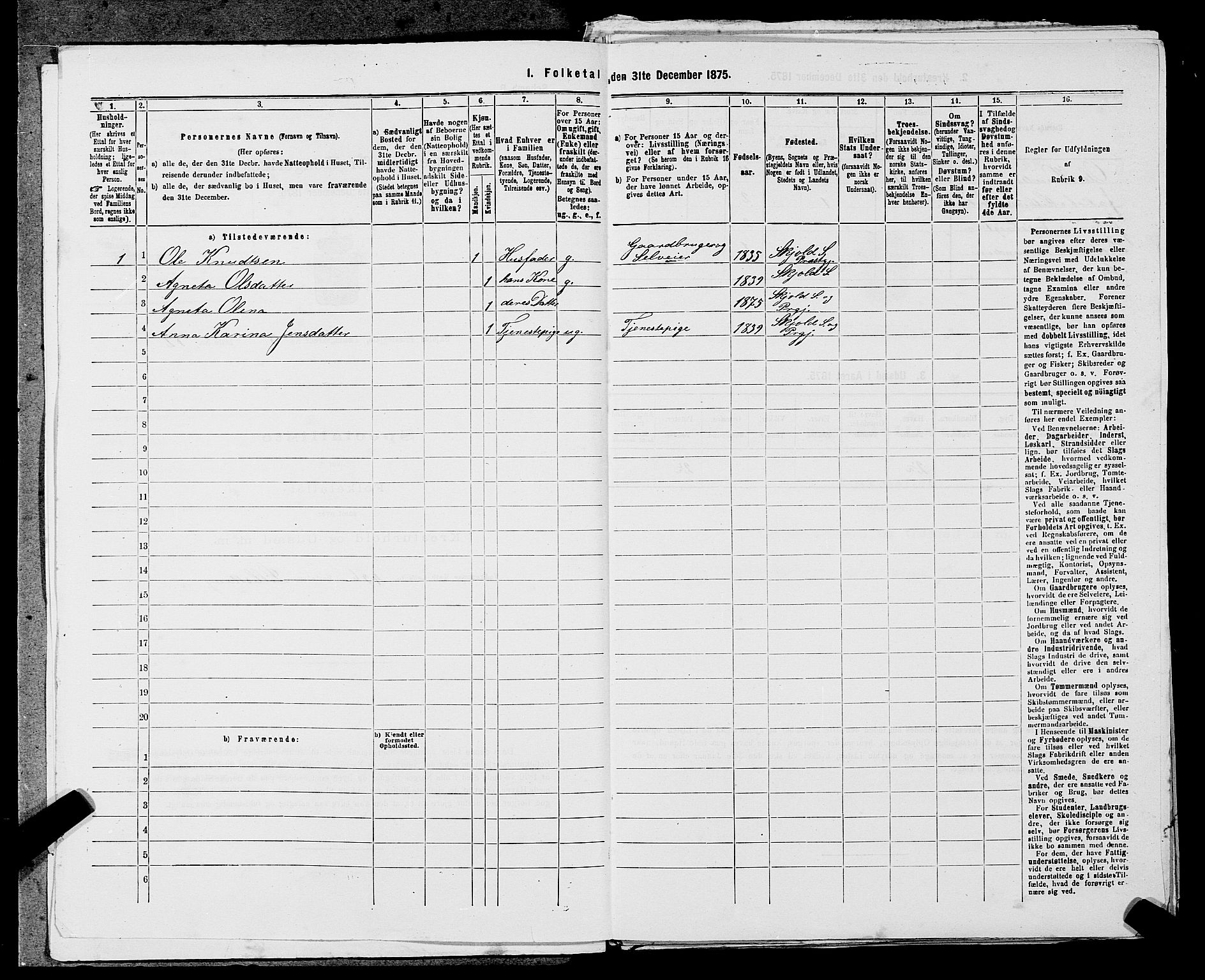 SAST, 1875 census for 1154P Skjold, 1875, p. 221