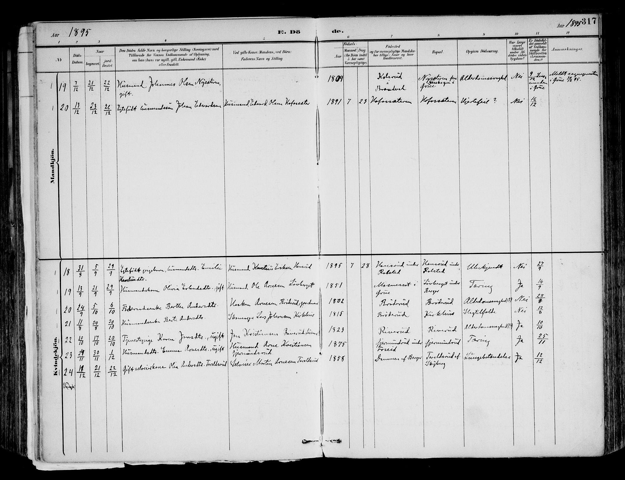 Brandval prestekontor, SAH/PREST-034/H/Ha/Haa/L0003: Parish register (official) no. 3, 1894-1909, p. 317