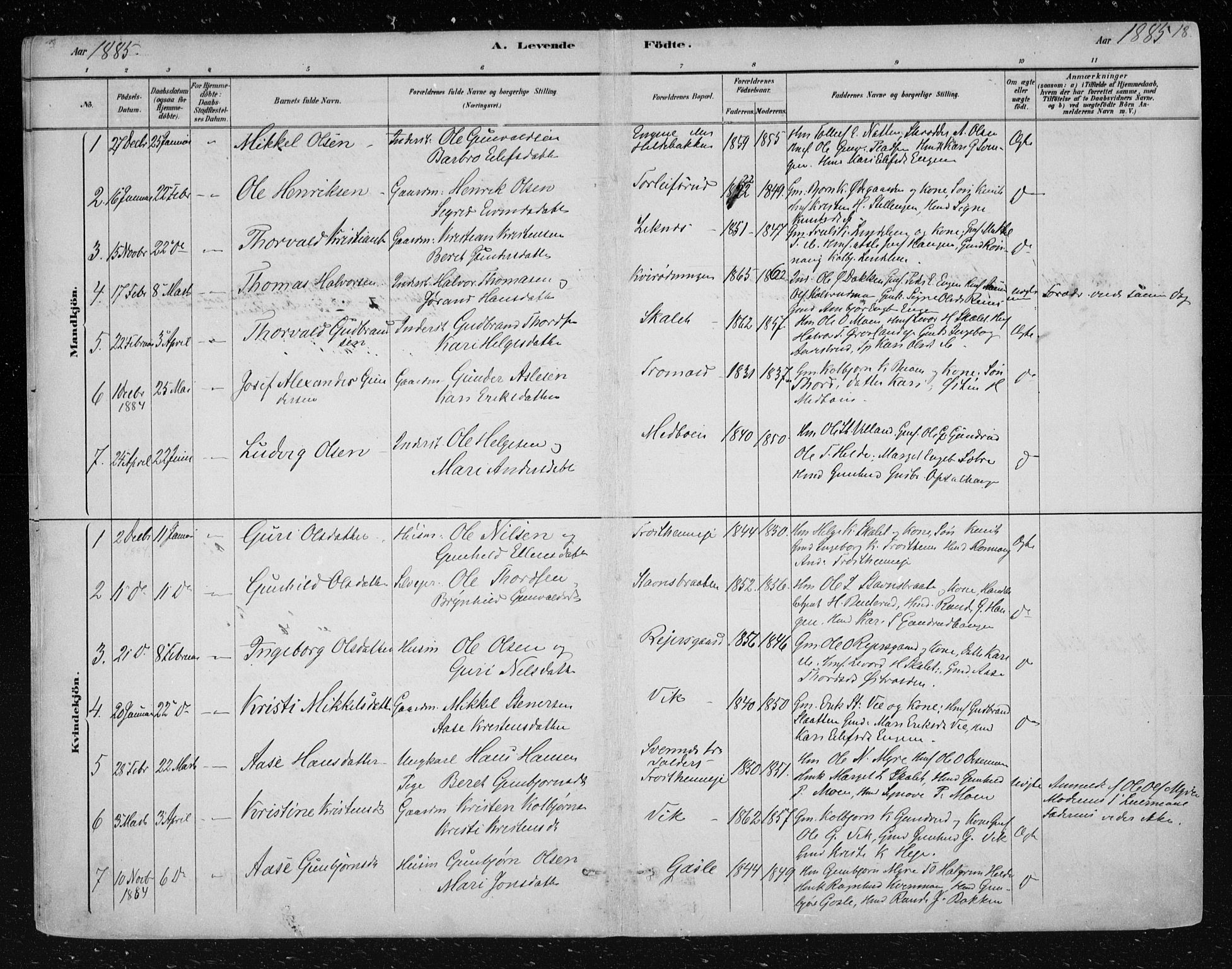 Nes kirkebøker, SAKO/A-236/F/Fa/L0012: Parish register (official) no. 12, 1881-1917, p. 18