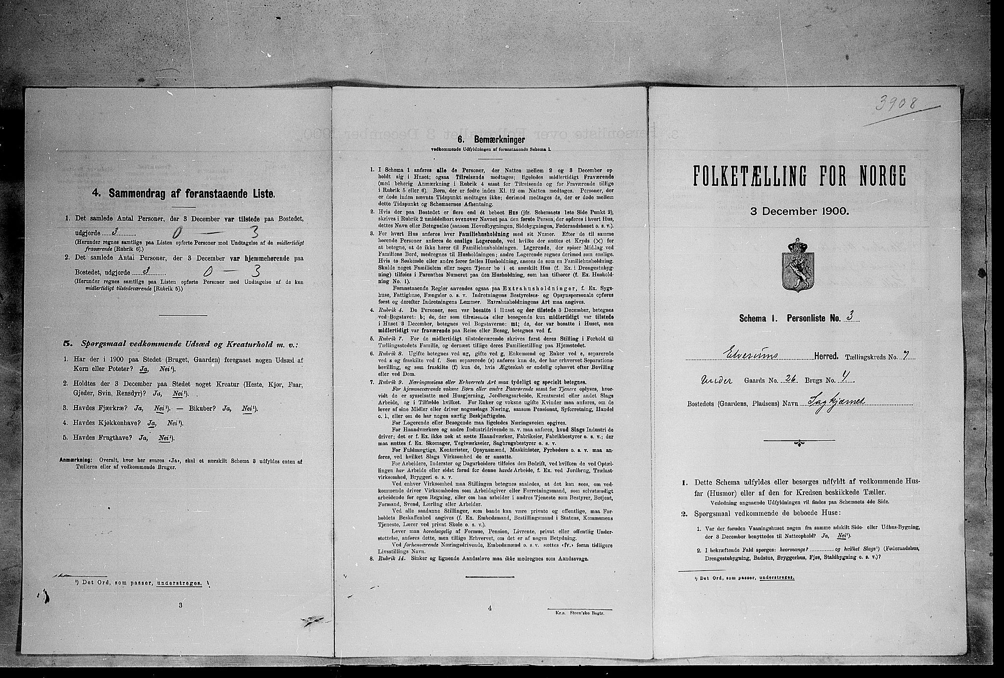 SAH, 1900 census for Elverum, 1900, p. 805