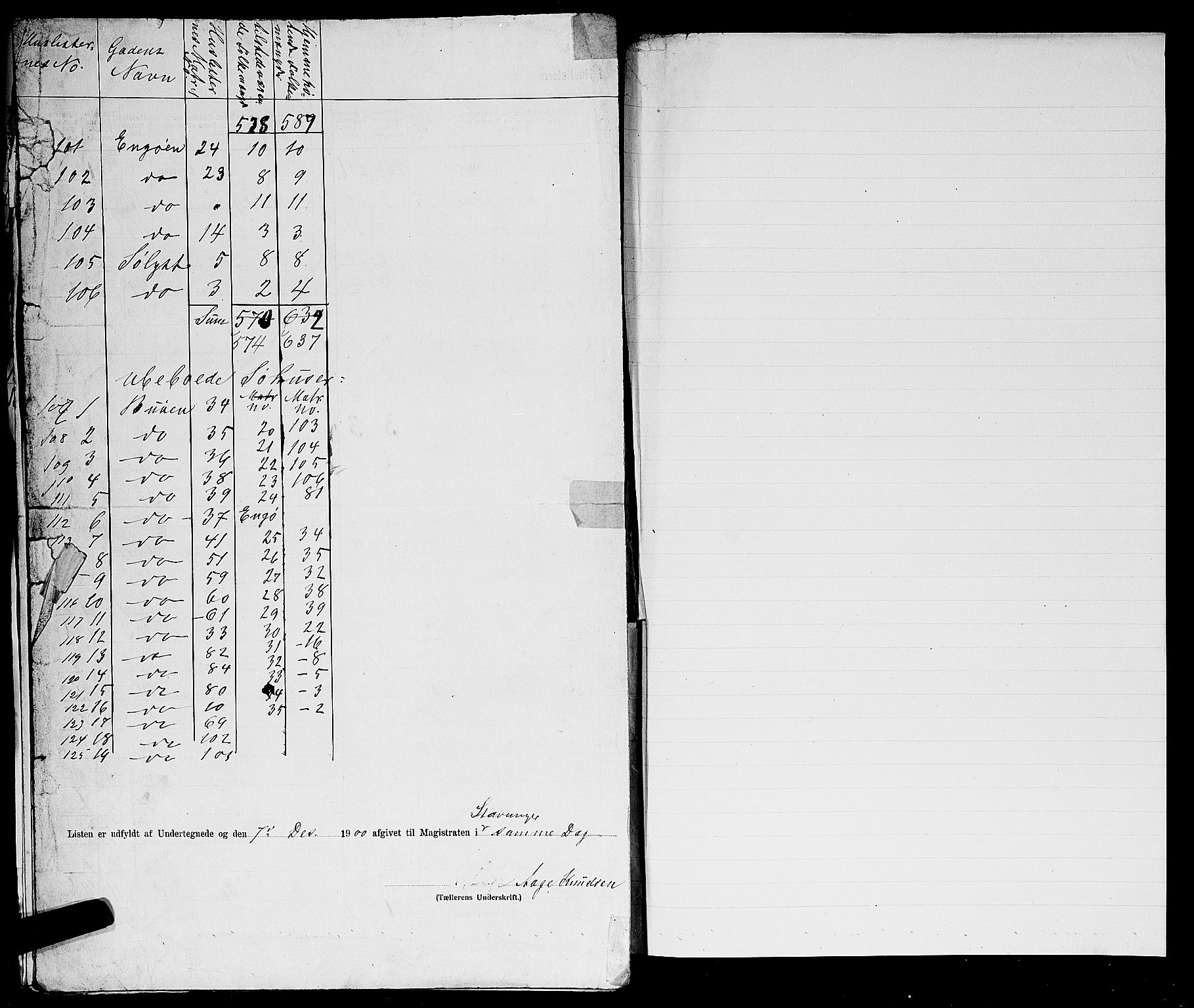 SAST, 1900 census for Stavanger, 1900, p. 229