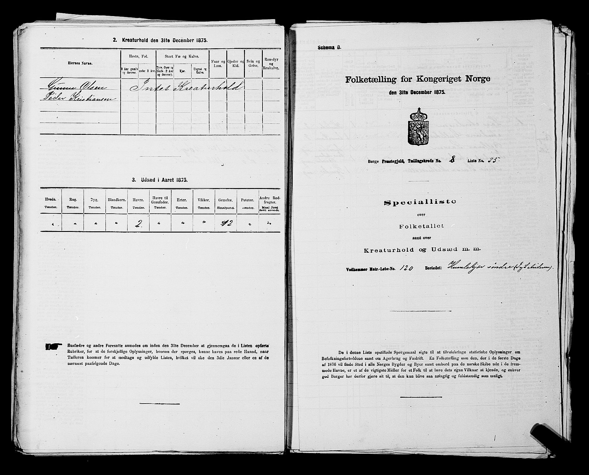 RA, 1875 census for 0113P Borge, 1875, p. 1175