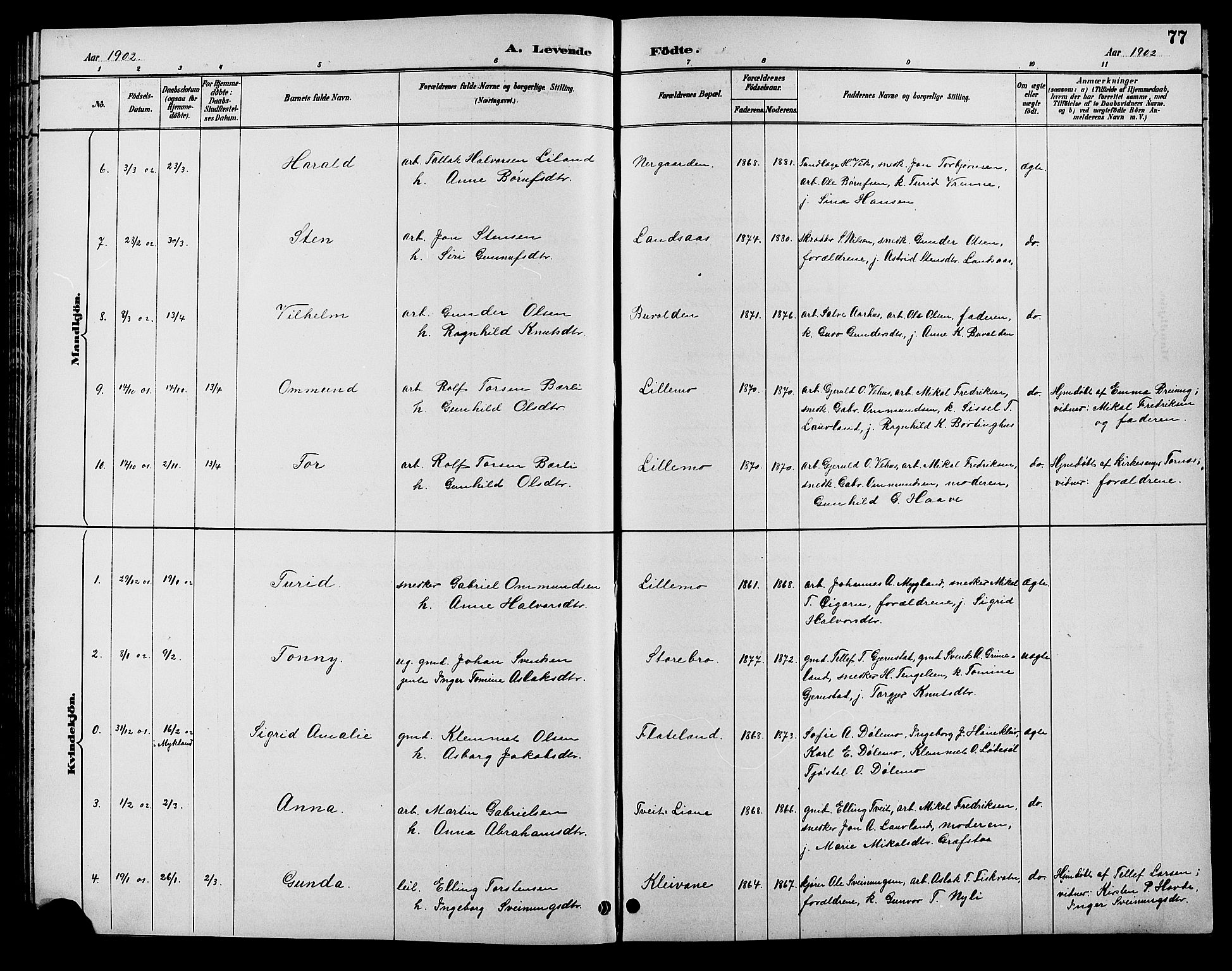 Åmli sokneprestkontor, SAK/1111-0050/F/Fb/Fbc/L0004: Parish register (copy) no. B 4, 1889-1902, p. 77