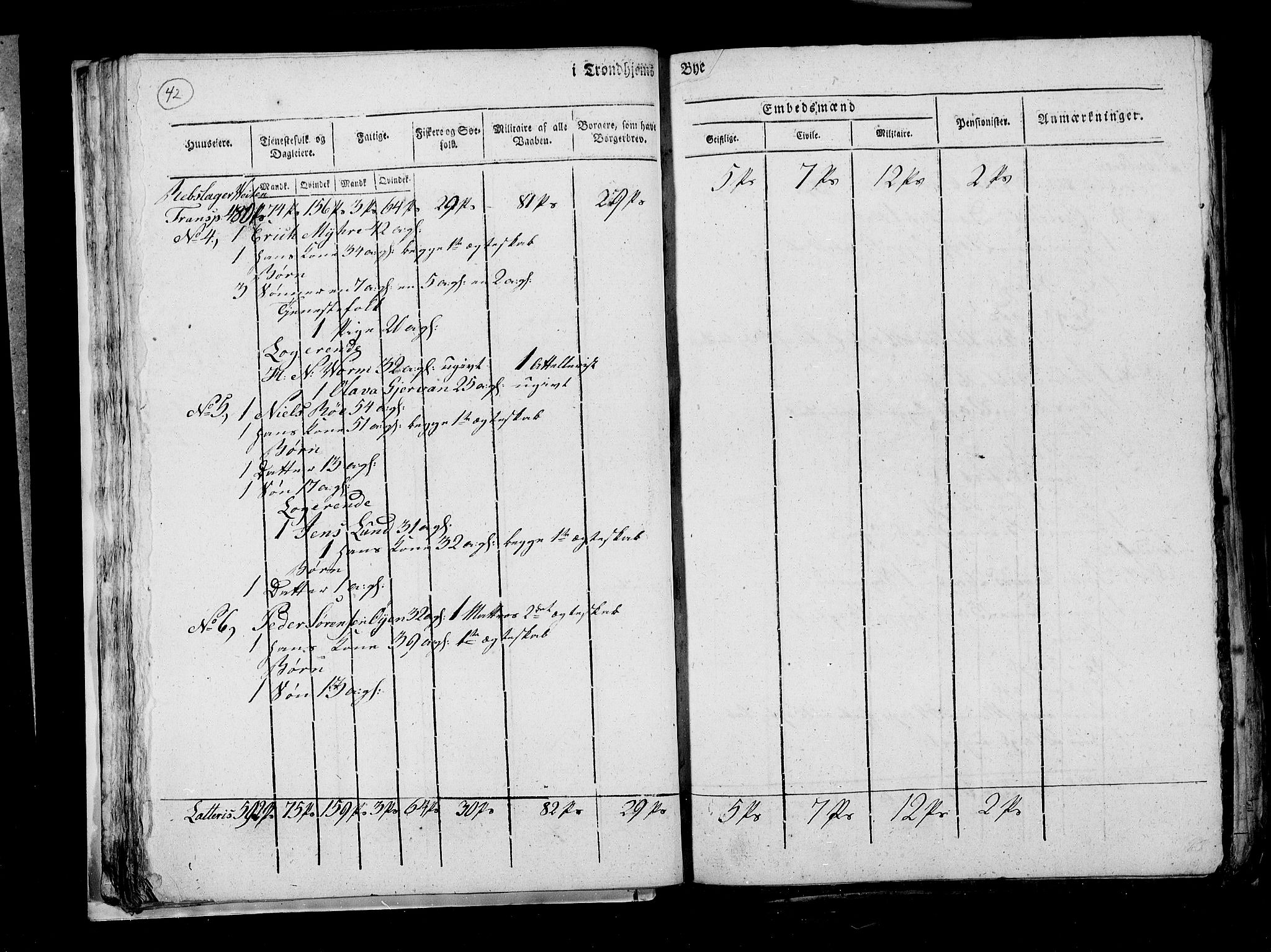 RA, Census 1815, vol. 4: Trondheim, 1815, p. 45