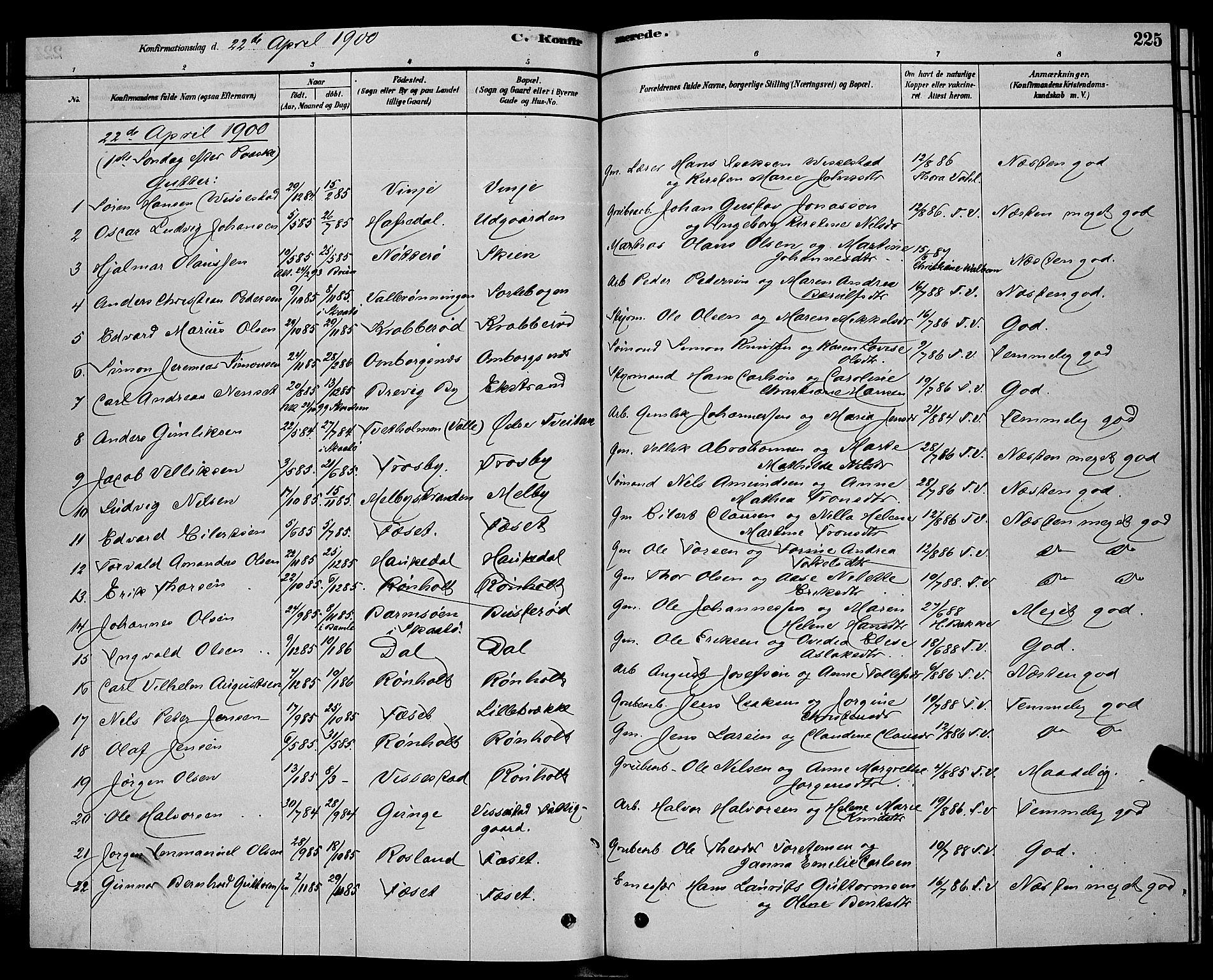 Bamble kirkebøker, SAKO/A-253/G/Ga/L0008: Parish register (copy) no. I 8, 1878-1888, p. 225