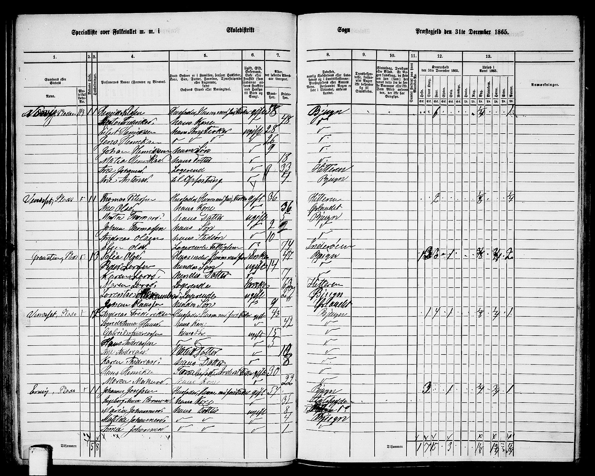 RA, 1865 census for Bjugn, 1865, p. 63